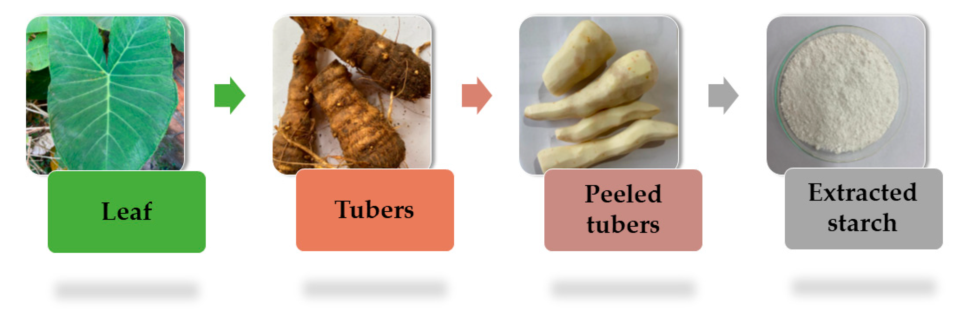 Foods 13 02415 g002 Foods 13 02415 g002