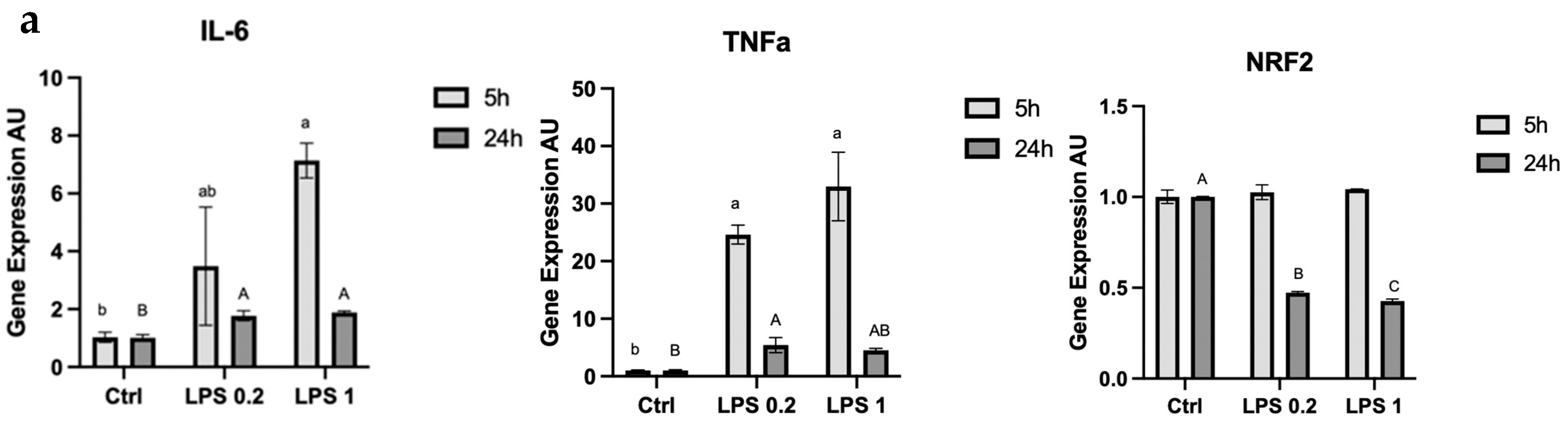 Foods 13 02429 g001a Foods 13 02429 g001a