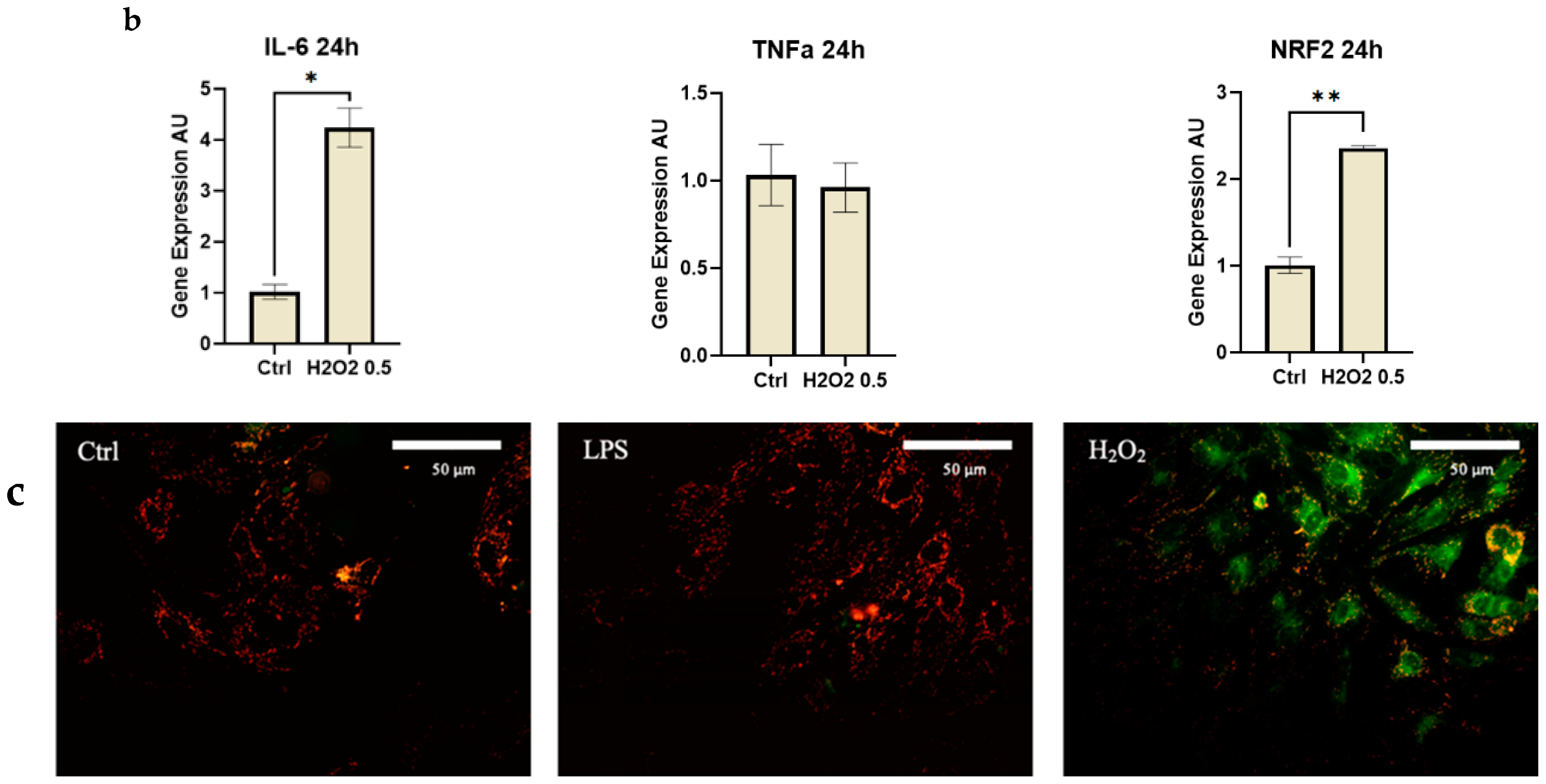 Foods 13 02429 g001b Foods 13 02429 g001b