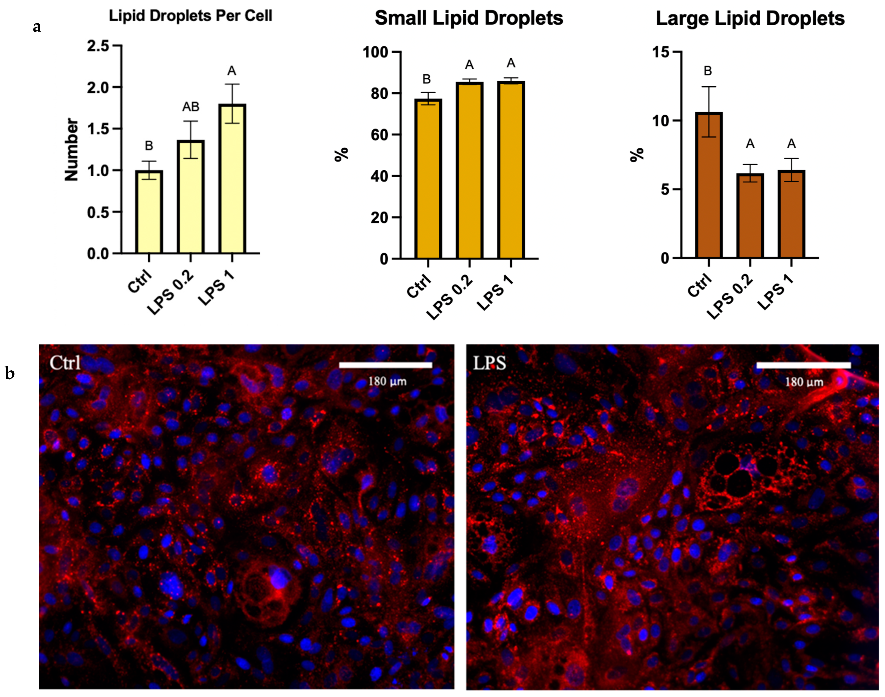 Foods 13 02429 g004 Foods 13 02429 g004