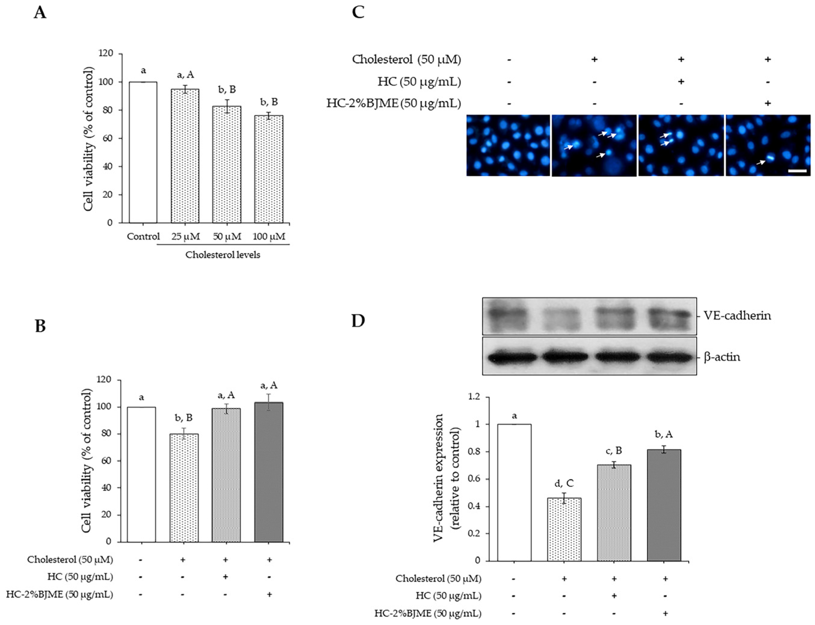 Foods 13 02463 g004 Foods 13 02463 g004