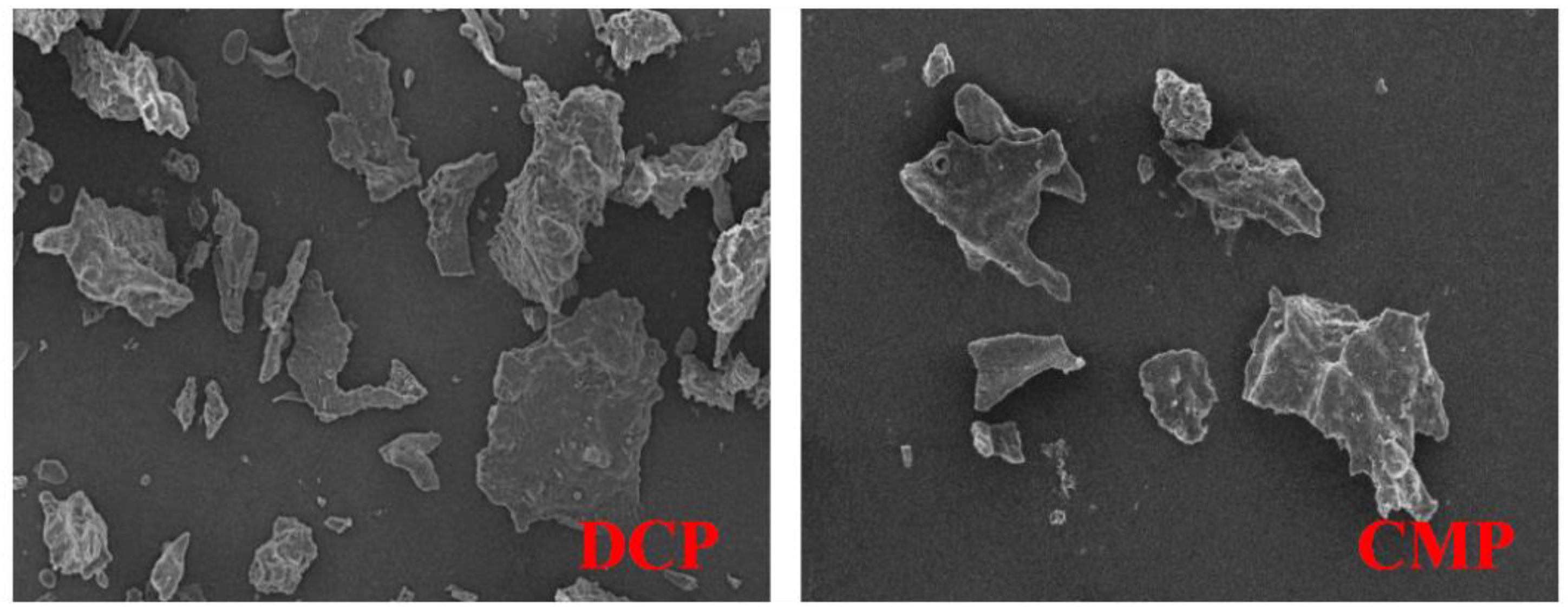 Foods 13 02496 g004 Foods 13 02496 g004