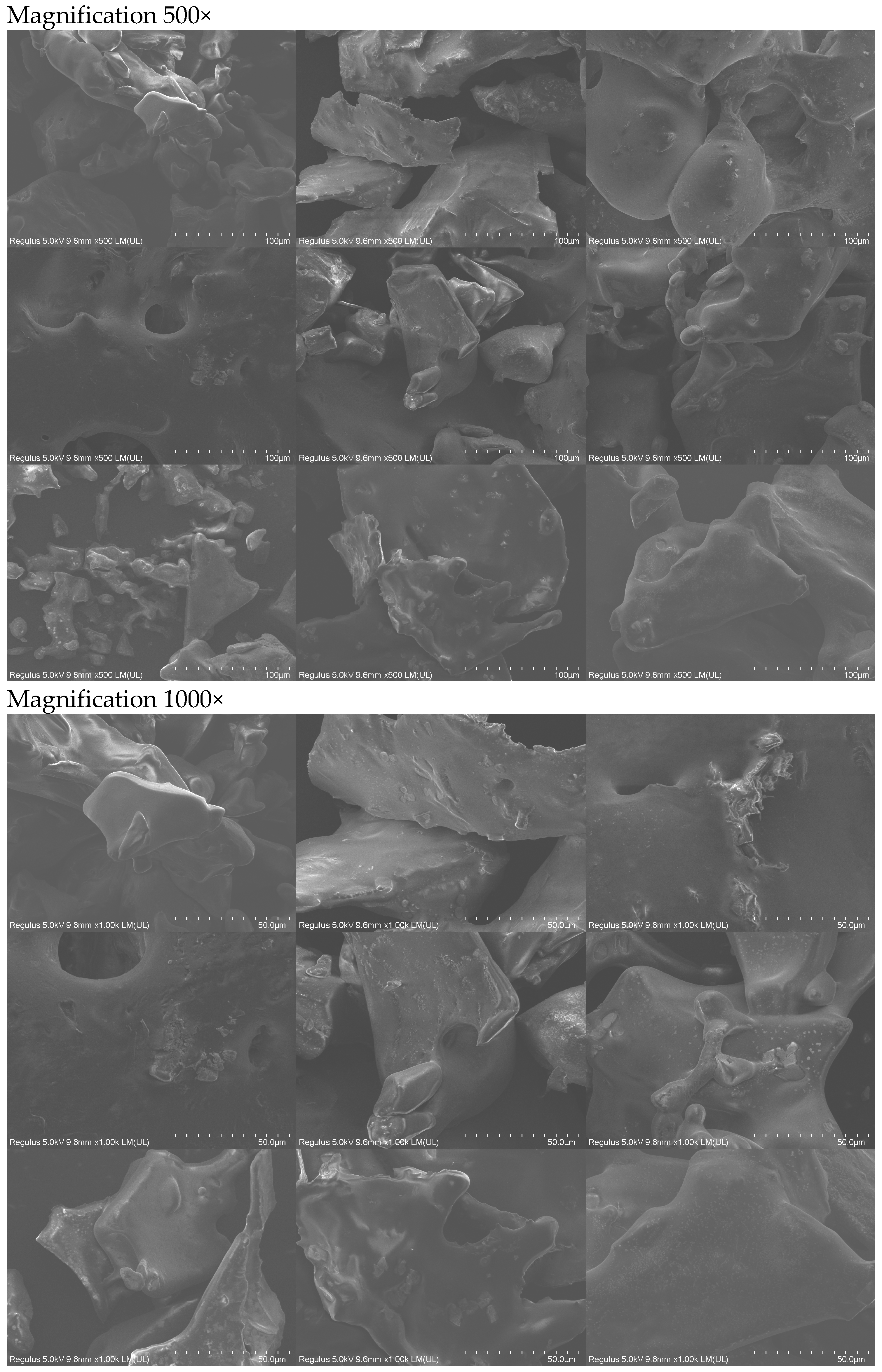 Foods 13 02546 g001b