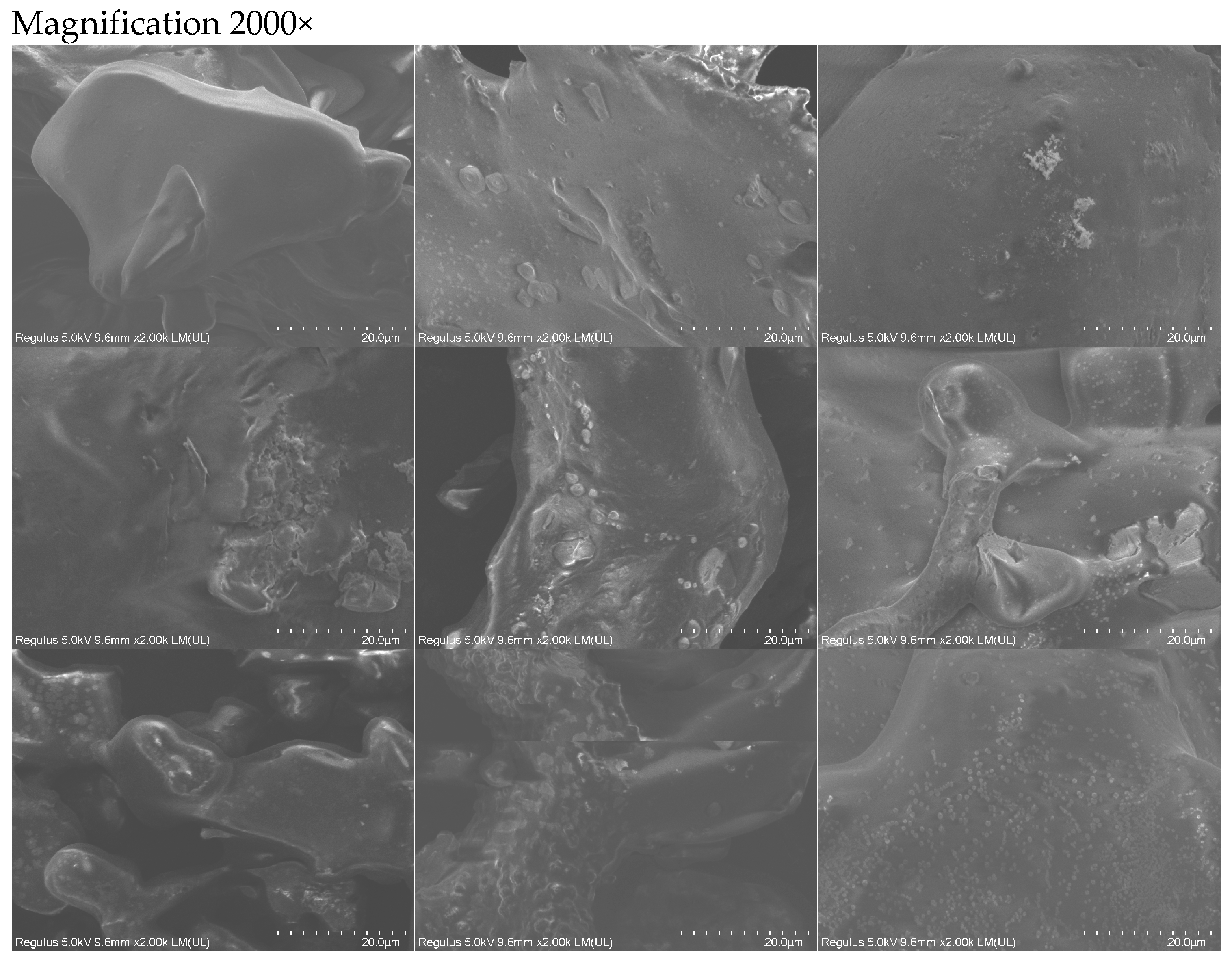 Foods 13 02546 g001c