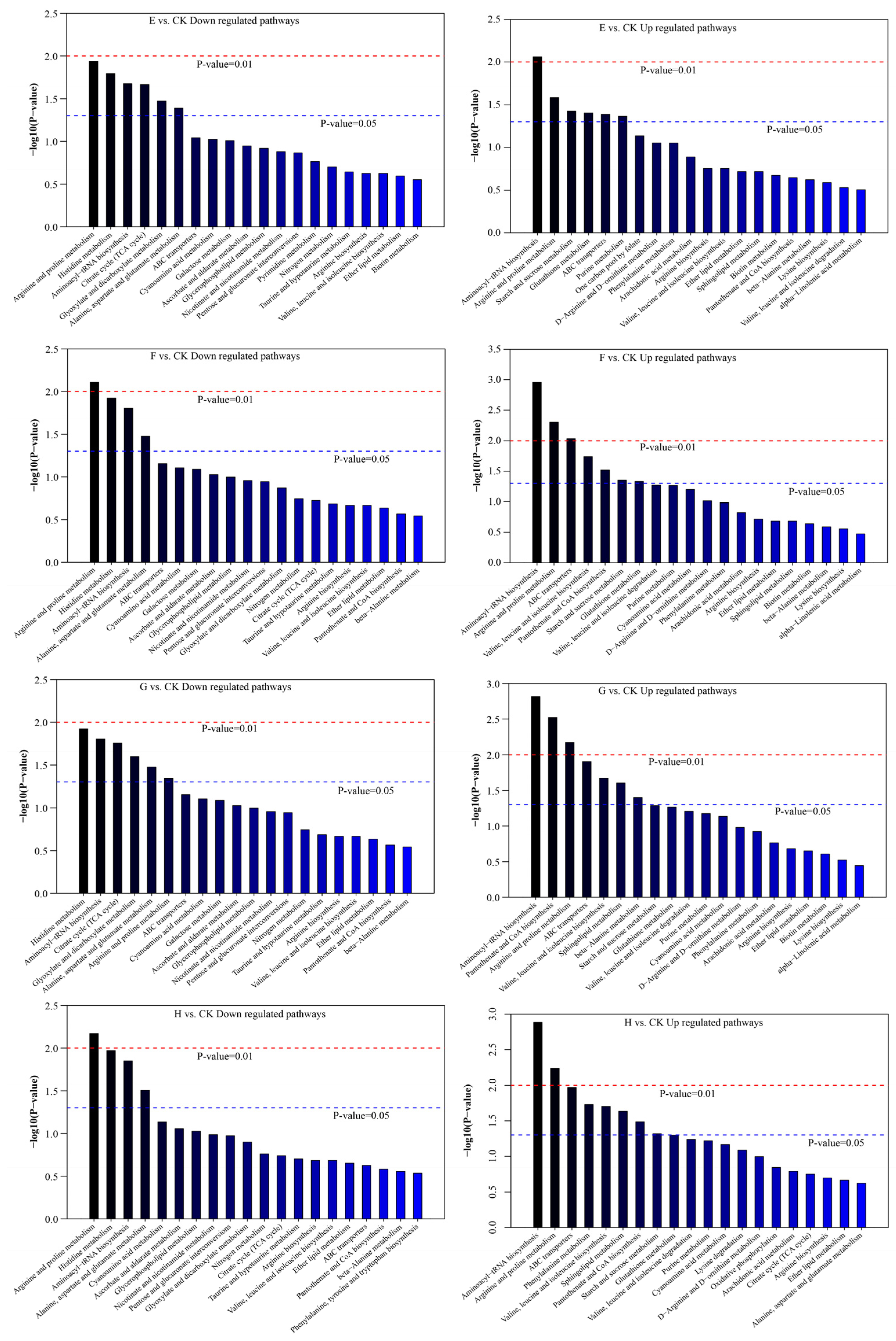 Foods 13 02546 g010b