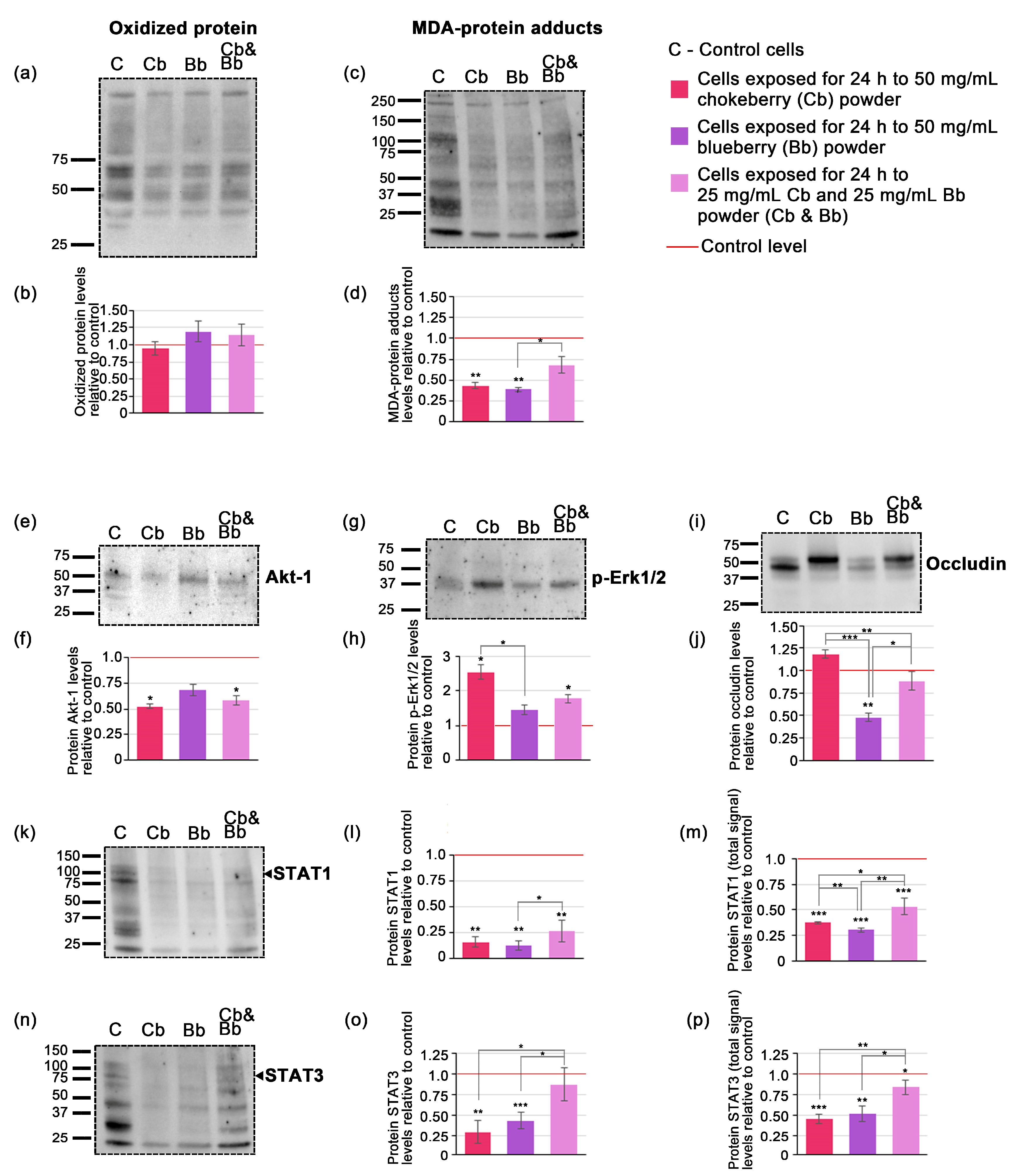 Foods 13 02552 g002 Foods 13 02552 g002