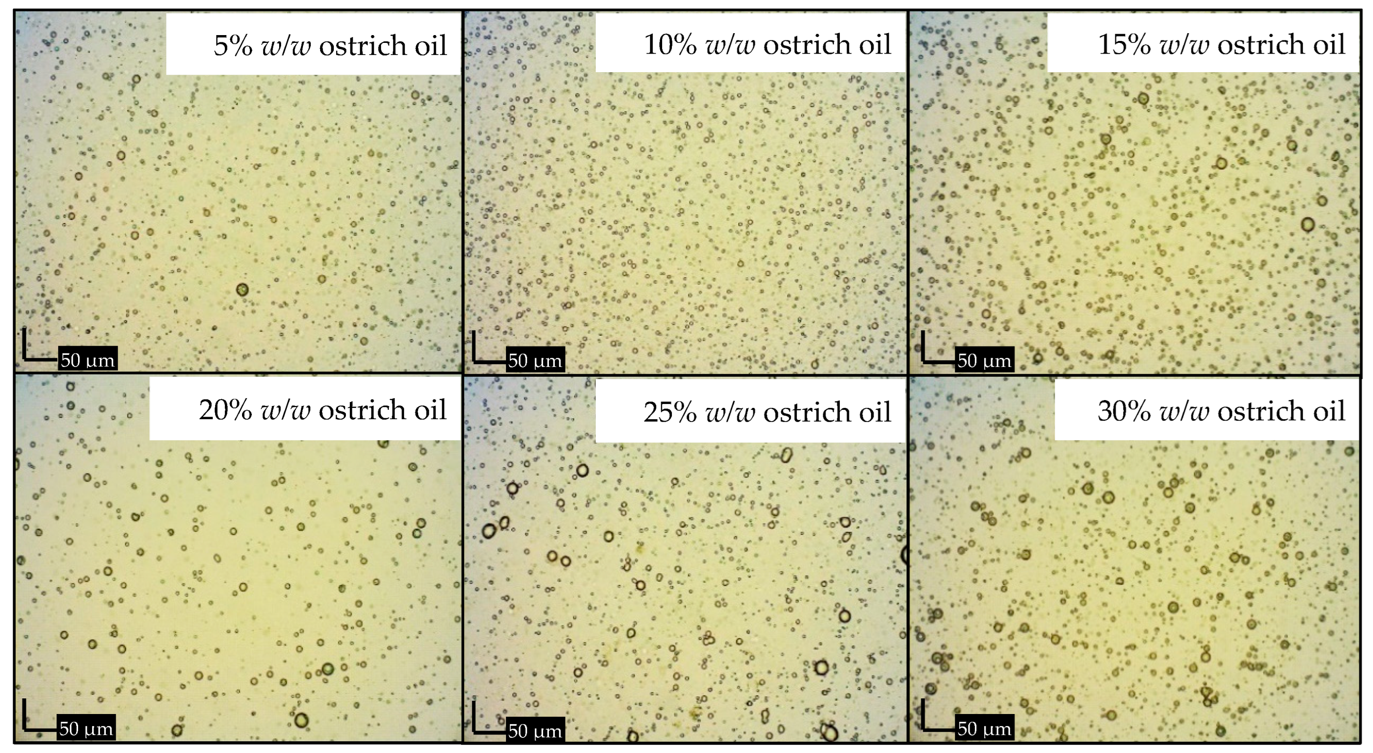 Foods 13 02570 g008 Foods 13 02570 g008