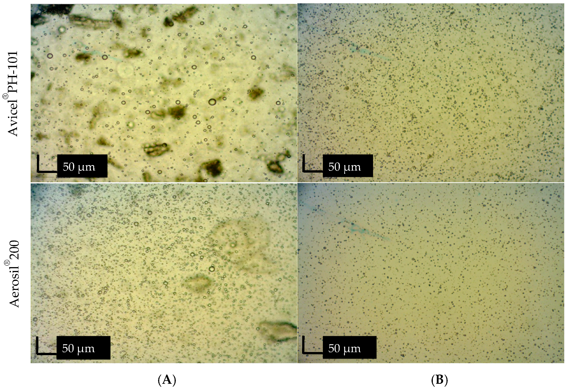 Foods 13 02570 g013 Foods 13 02570 g013