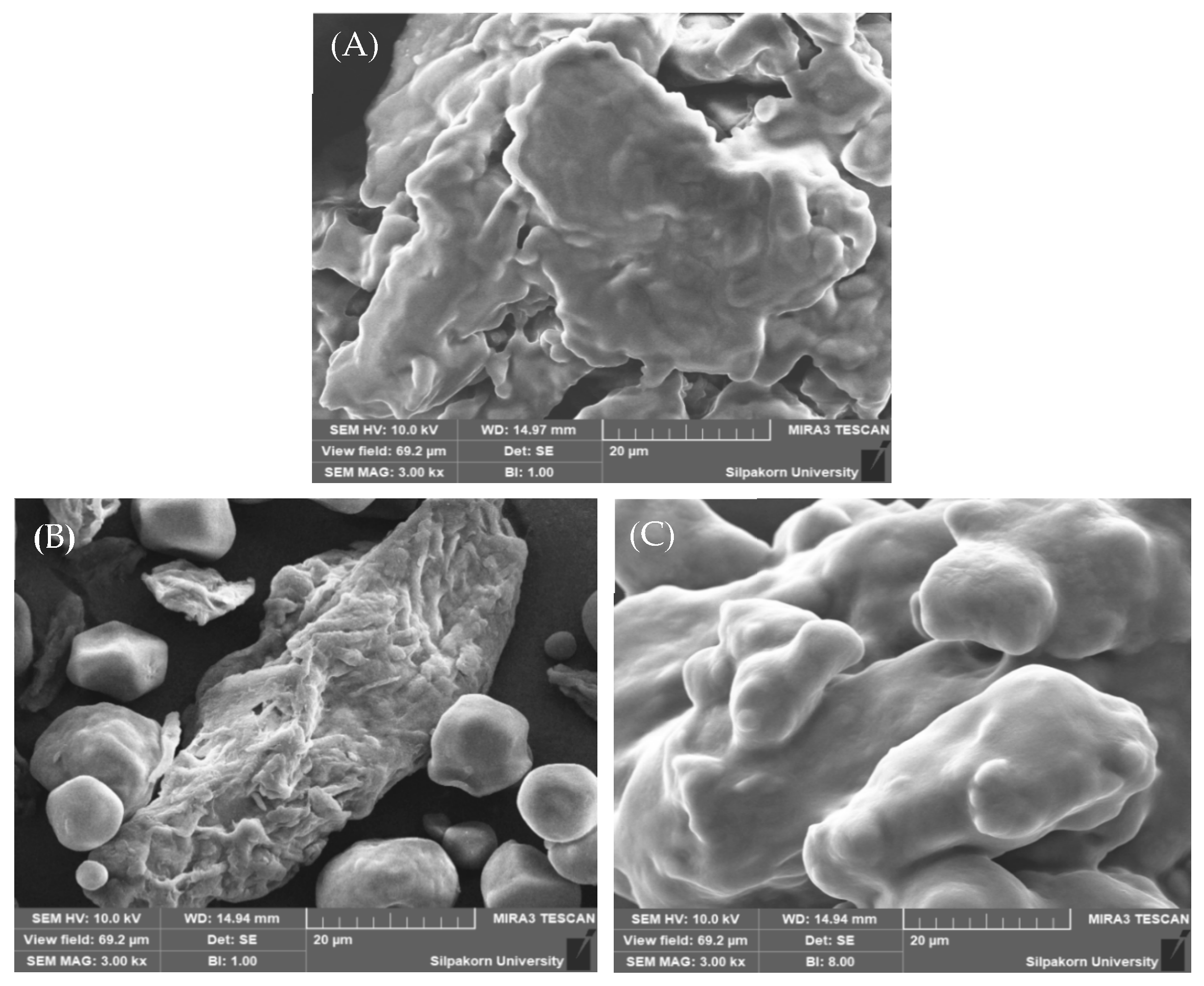 Foods 13 02570 g014 Foods 13 02570 g014