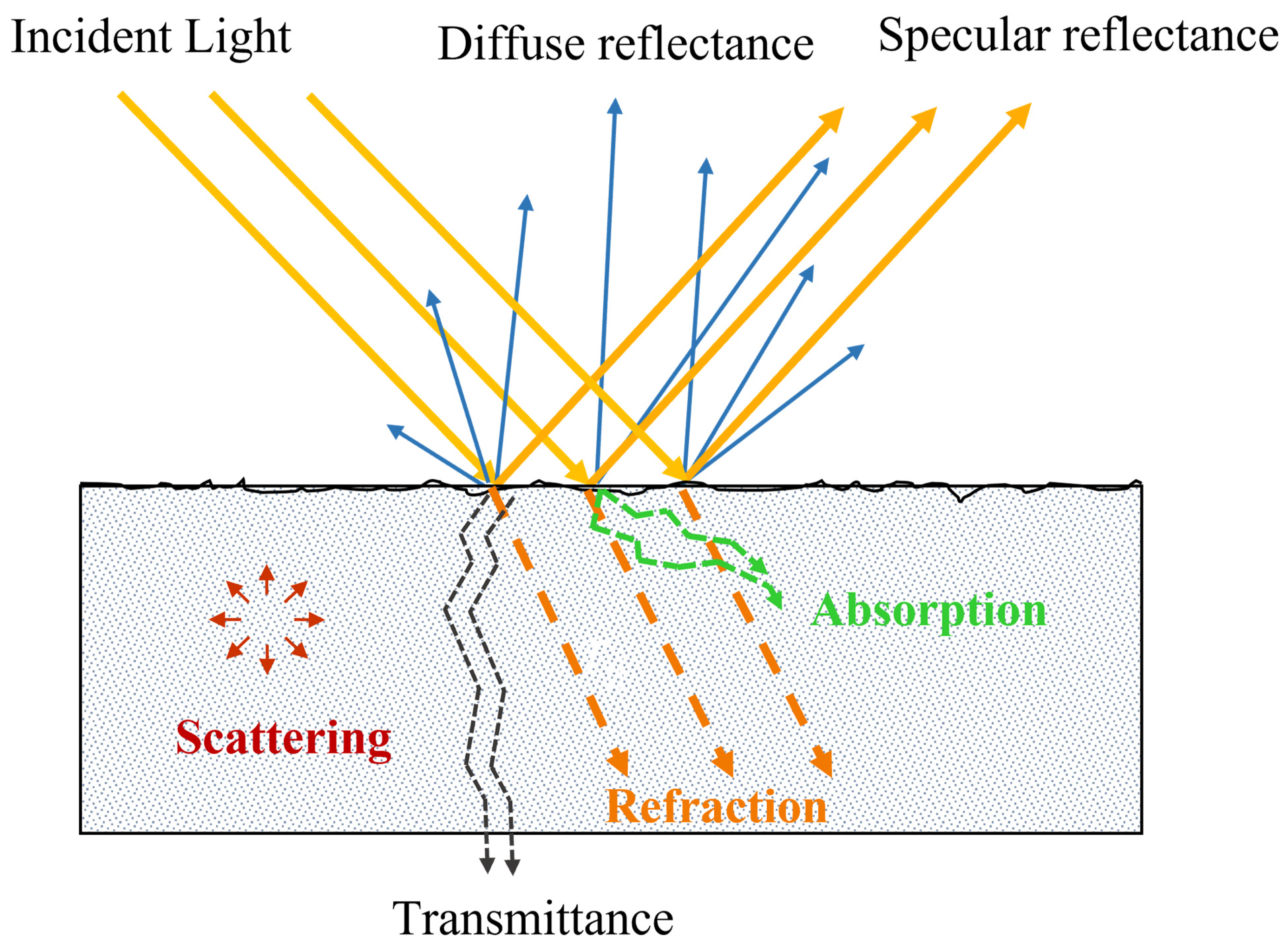 Foods 13 02688 g001 Foods 13 02688 g001