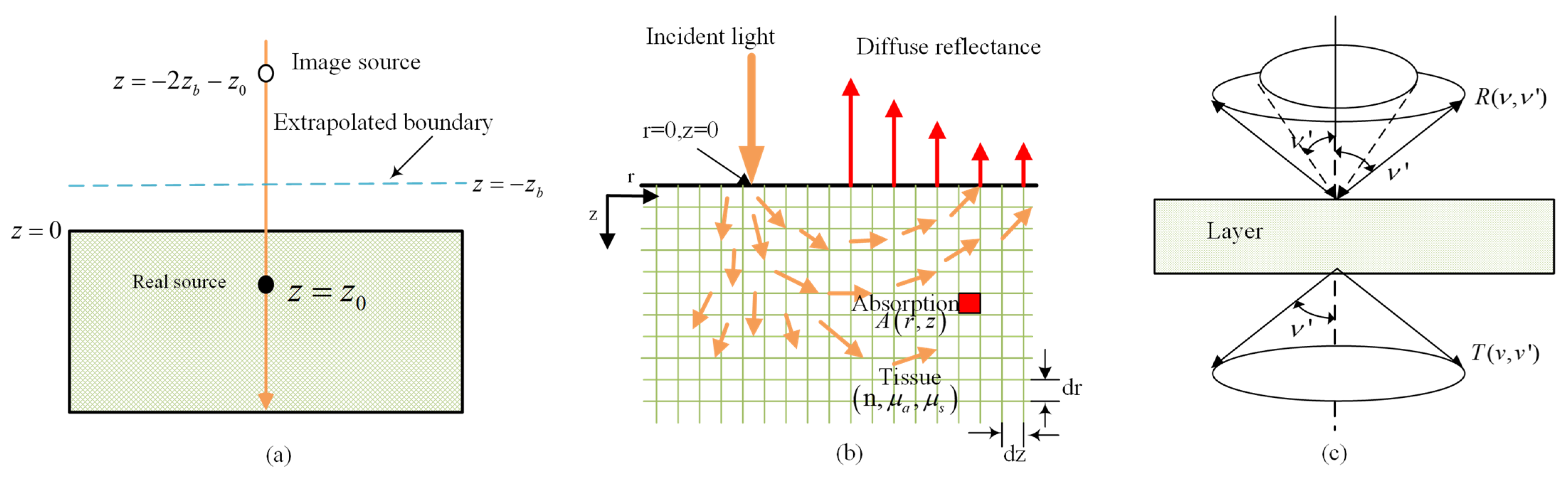 Foods 13 02688 g004 Foods 13 02688 g004