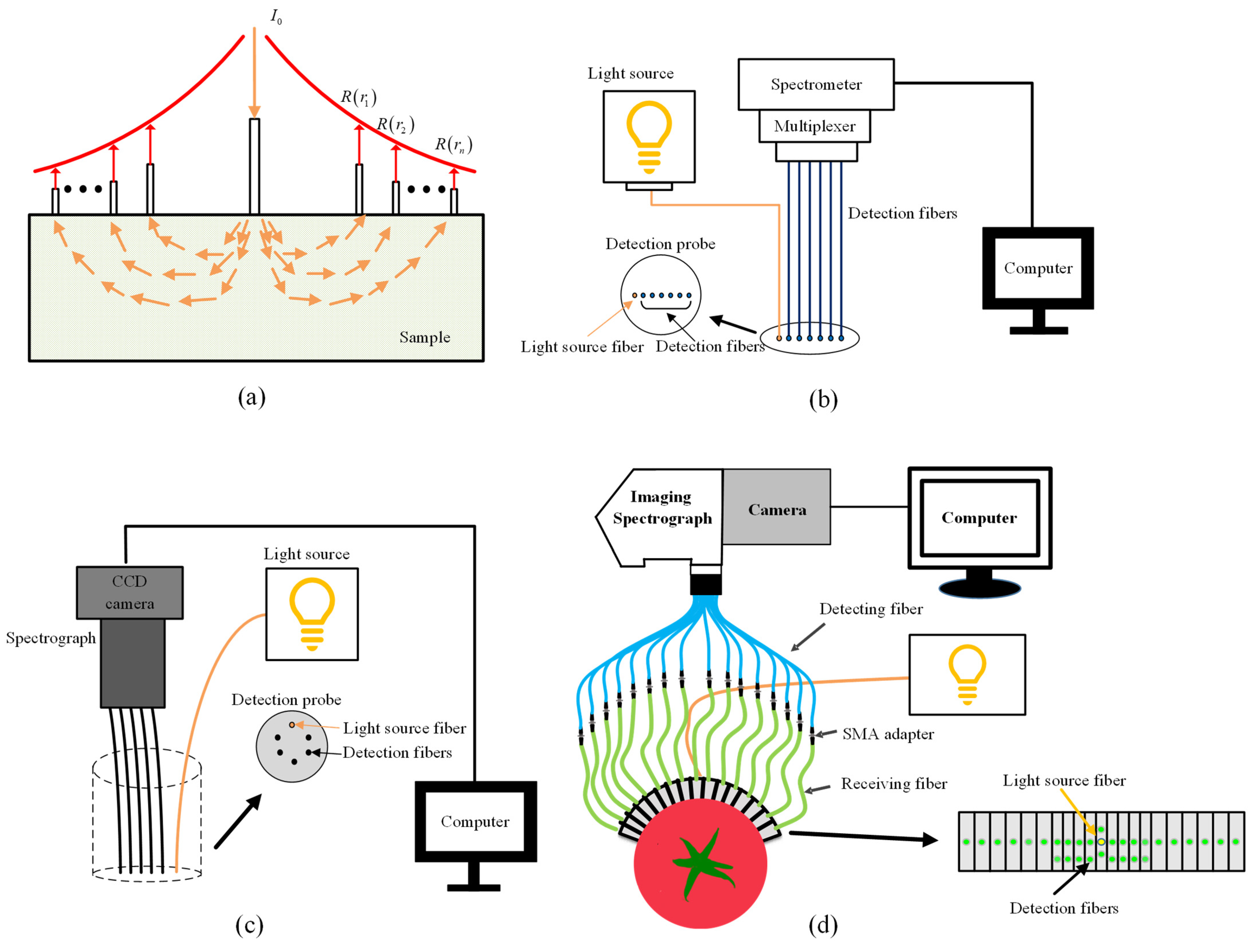 Foods 13 02688 g007 Foods 13 02688 g007