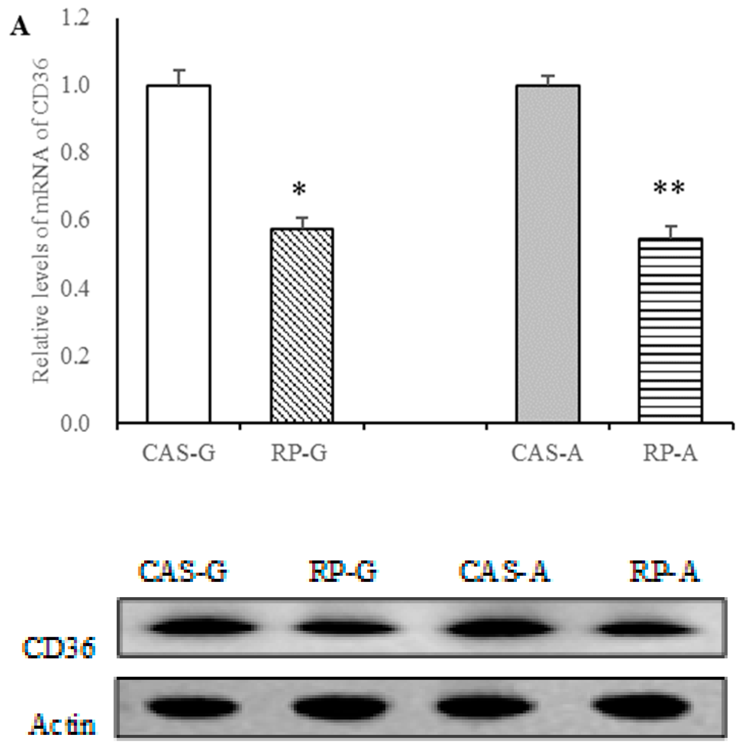 Foods 13 02704 g004a