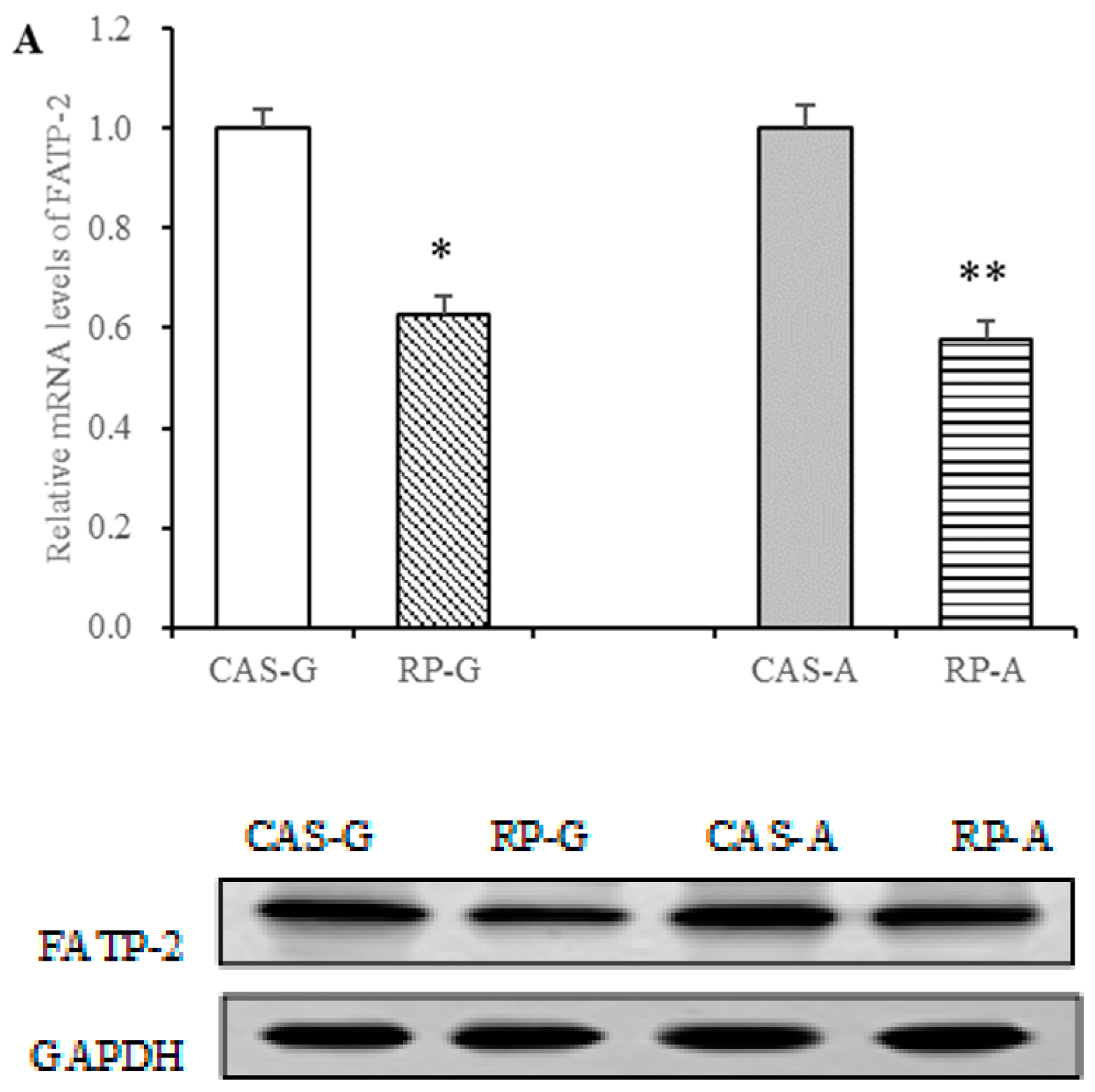 Foods 13 02704 g006a