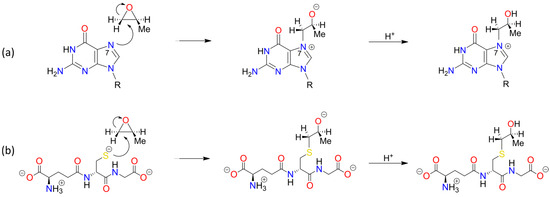 Foods 13 02708 sch0a2