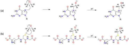 Foods 13 02708 sch0a3