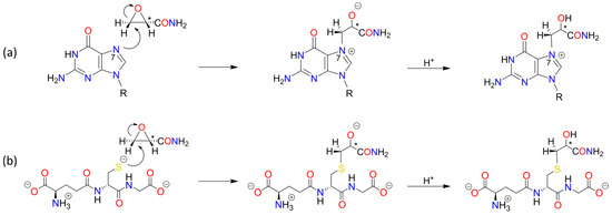 Foods 13 02708 sch0a4