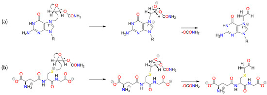 Foods 13 02708 sch0a5