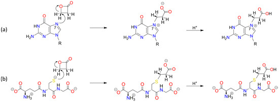 Foods 13 02708 sch0a6