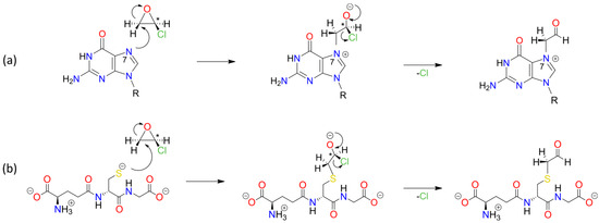 Foods 13 02708 sch0a7