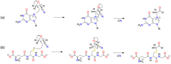 Foods 13 02708 sch0a8