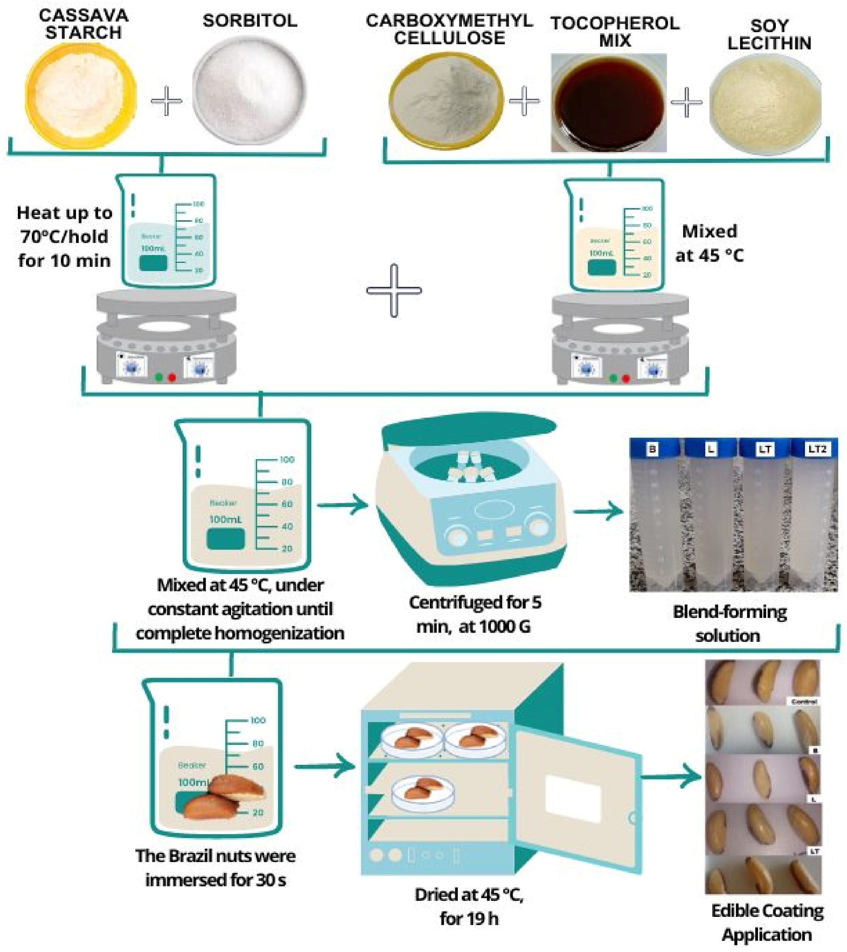 Foods 13 02732 g001 Foods 13 02732 g001