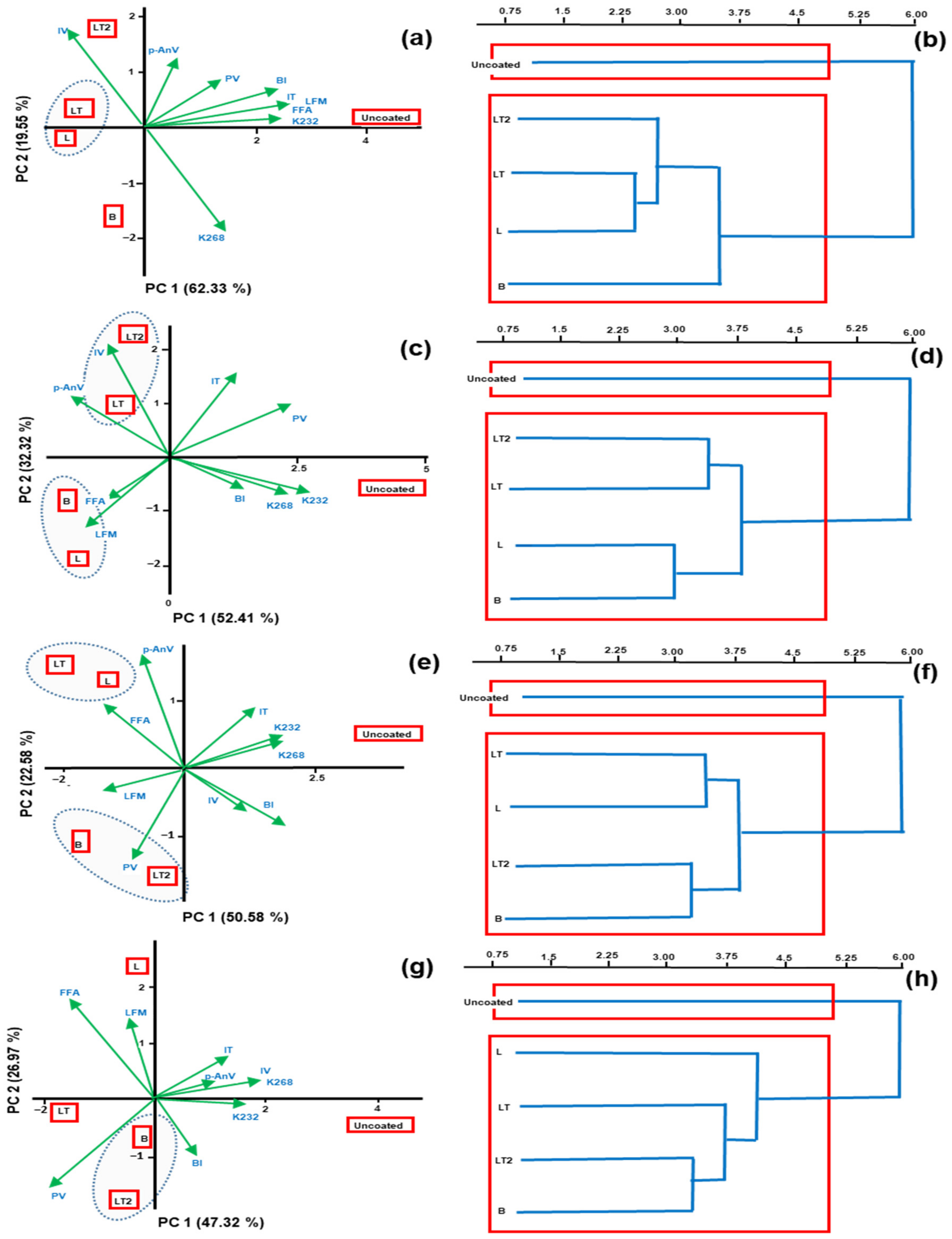 Foods 13 02732 g007a Foods 13 02732 g007a