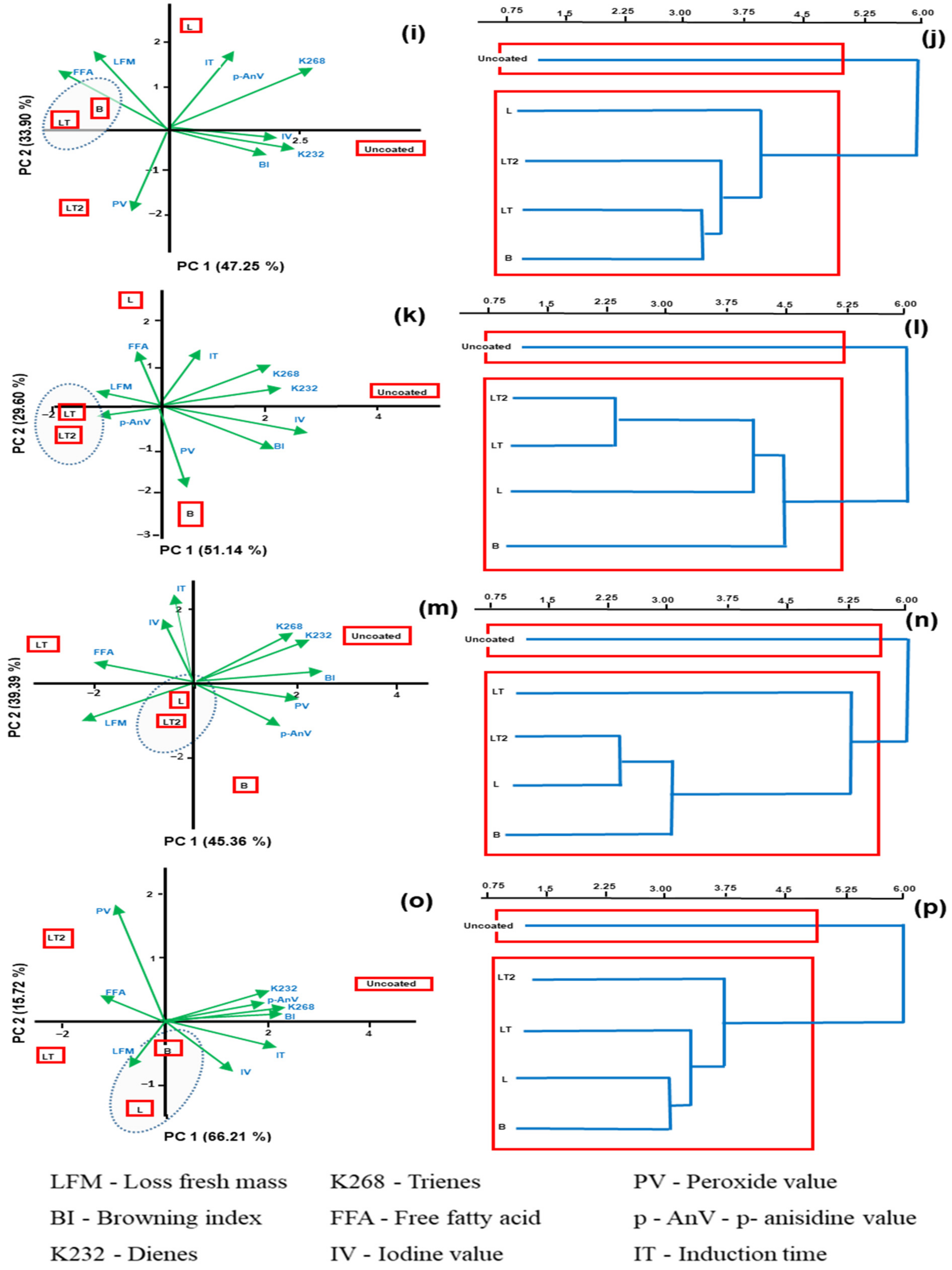 Foods 13 02732 g007b Foods 13 02732 g007b