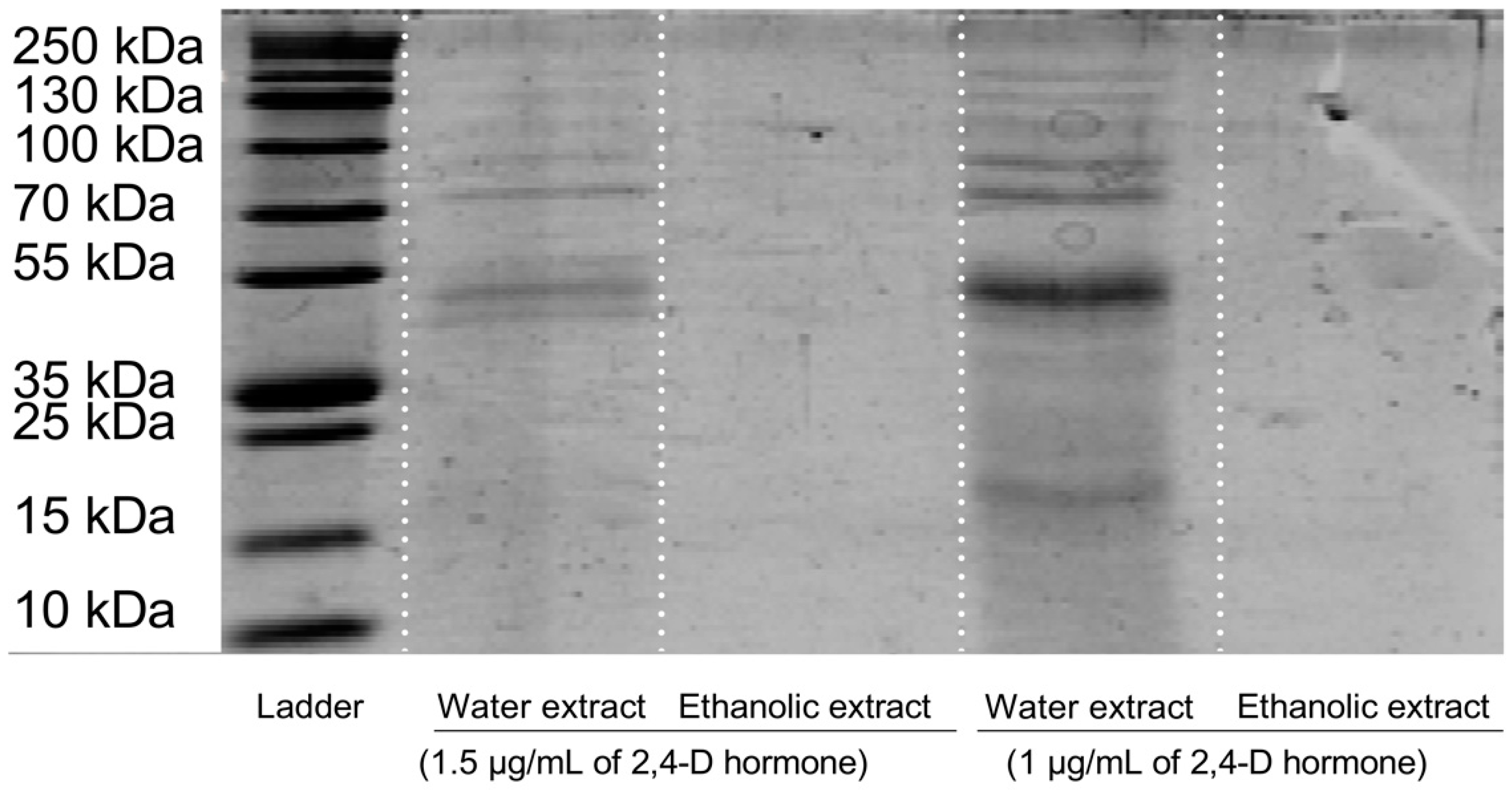 Foods 13 02803 g002 Foods 13 02803 g002