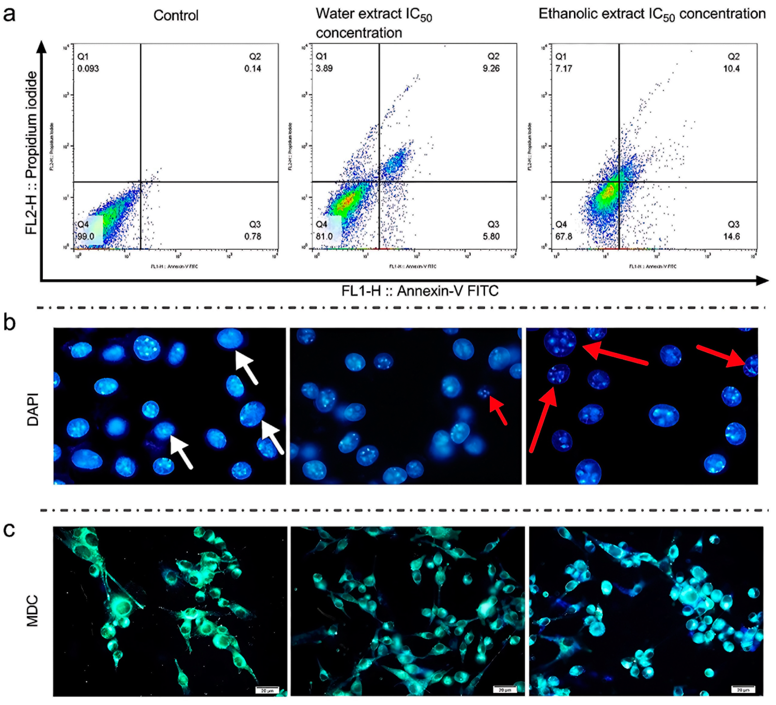 Foods 13 02803 g005 Foods 13 02803 g005