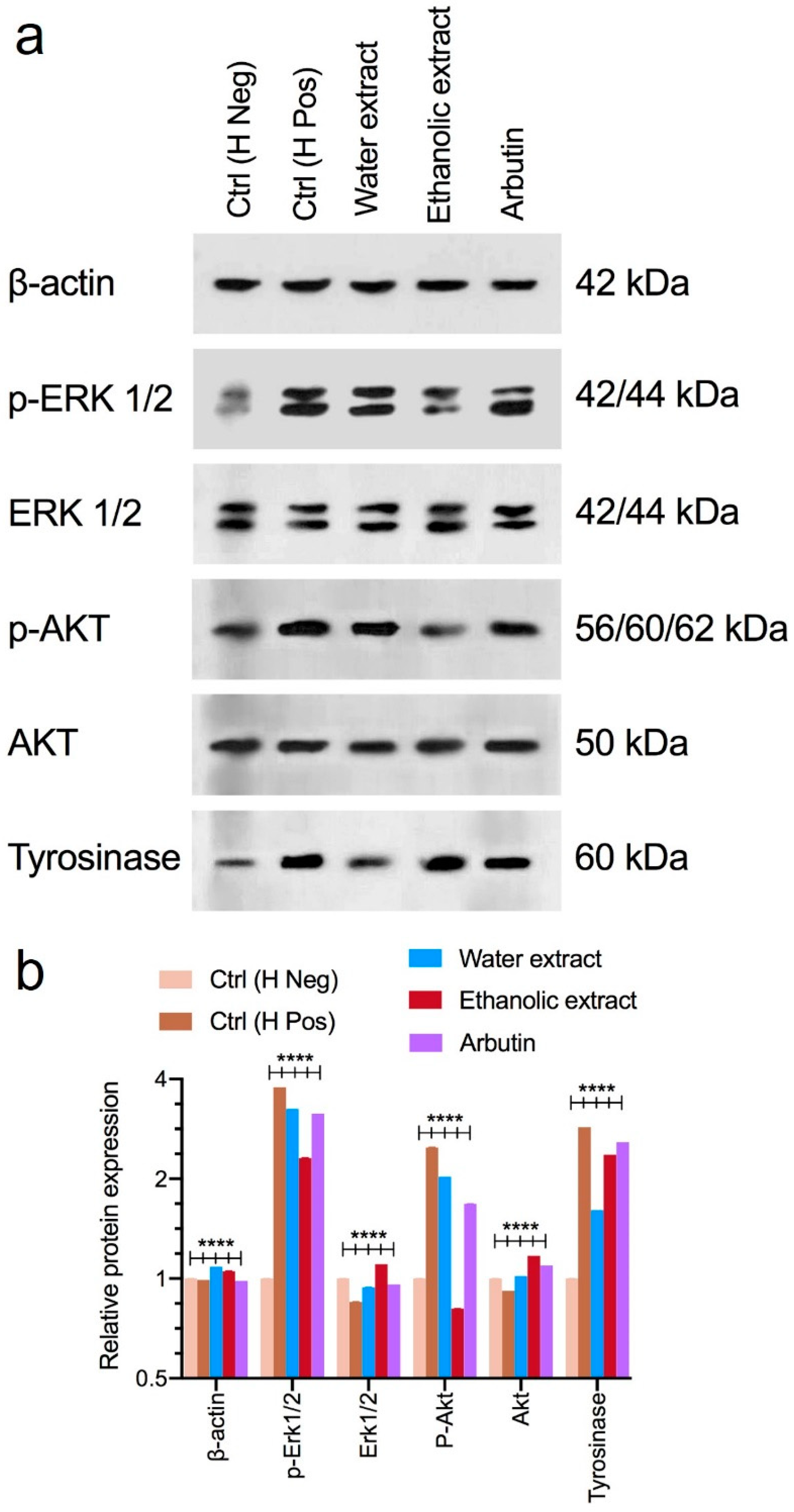 Foods 13 02803 g007 Foods 13 02803 g007