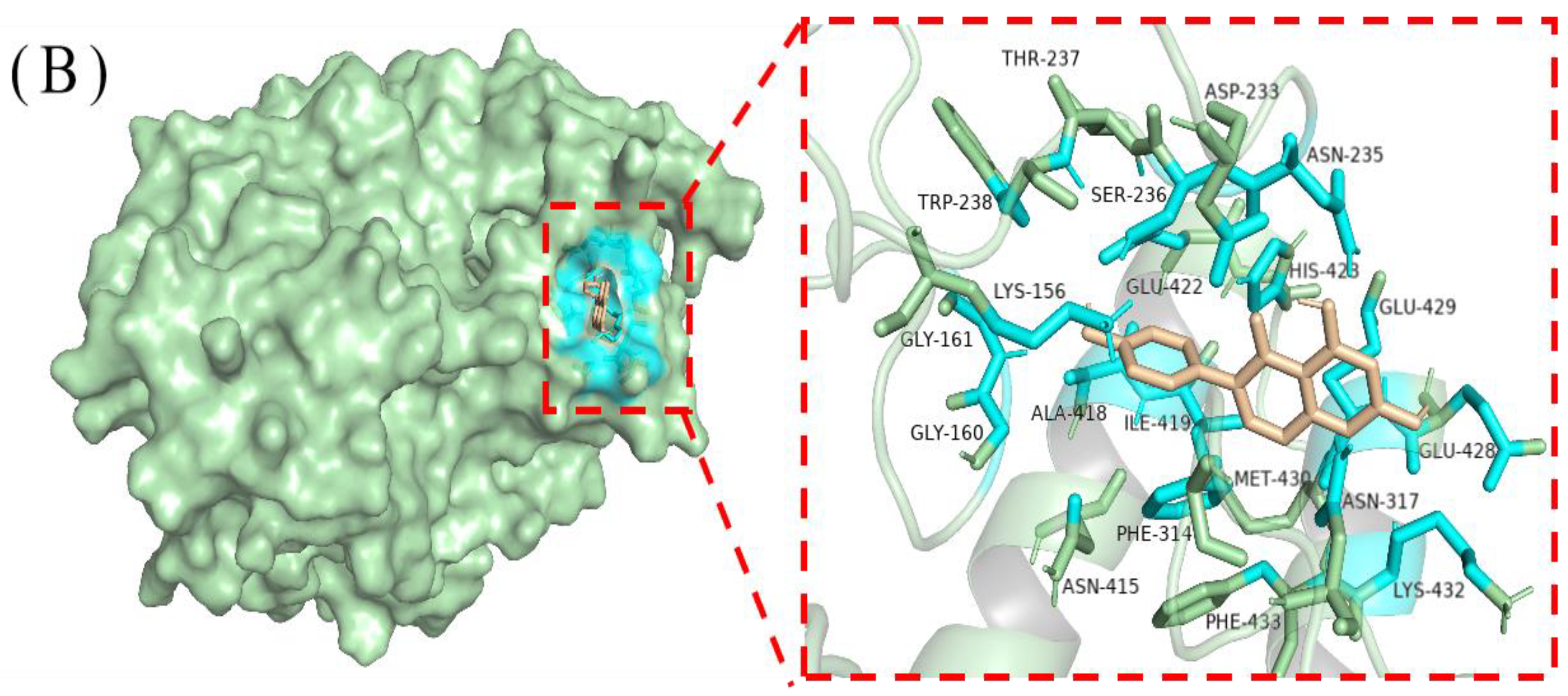 Foods 13 02809 g008b