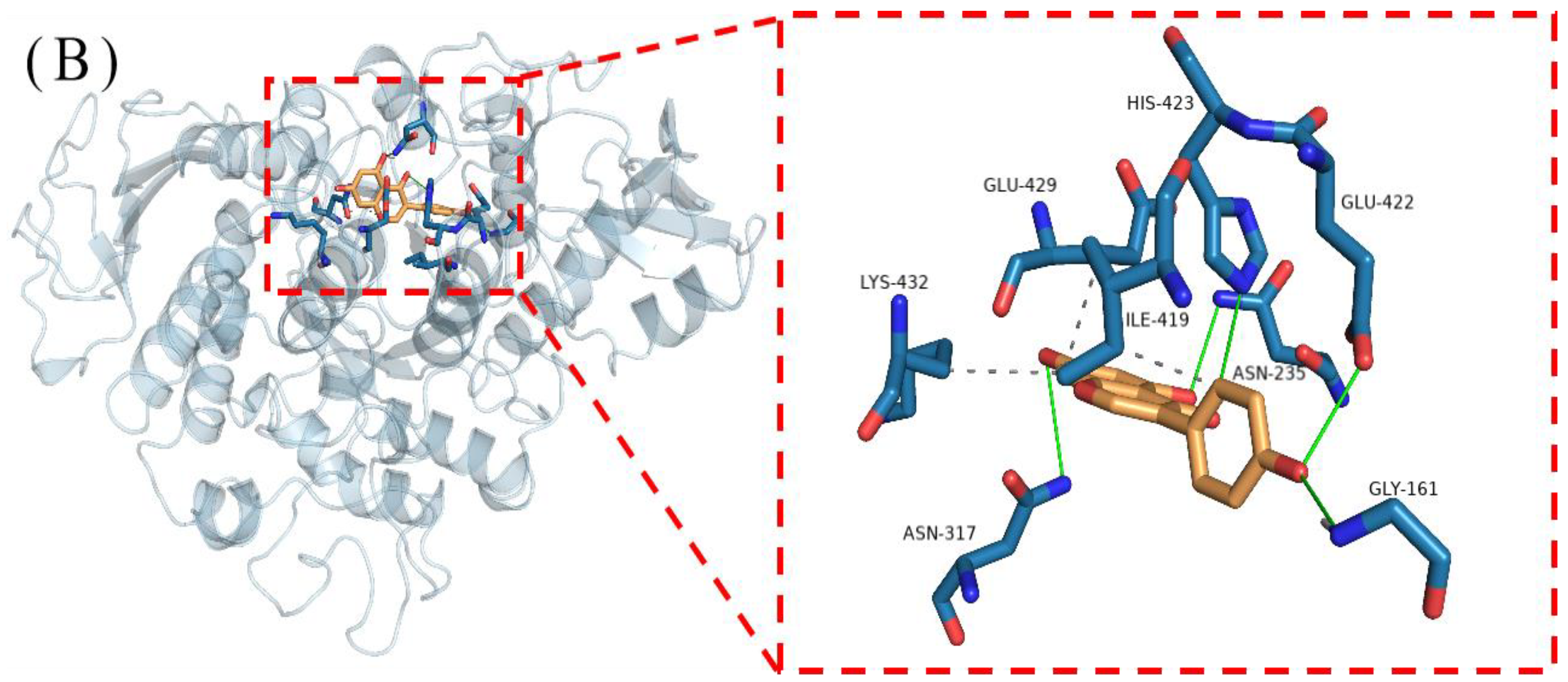 Foods 13 02809 g011b