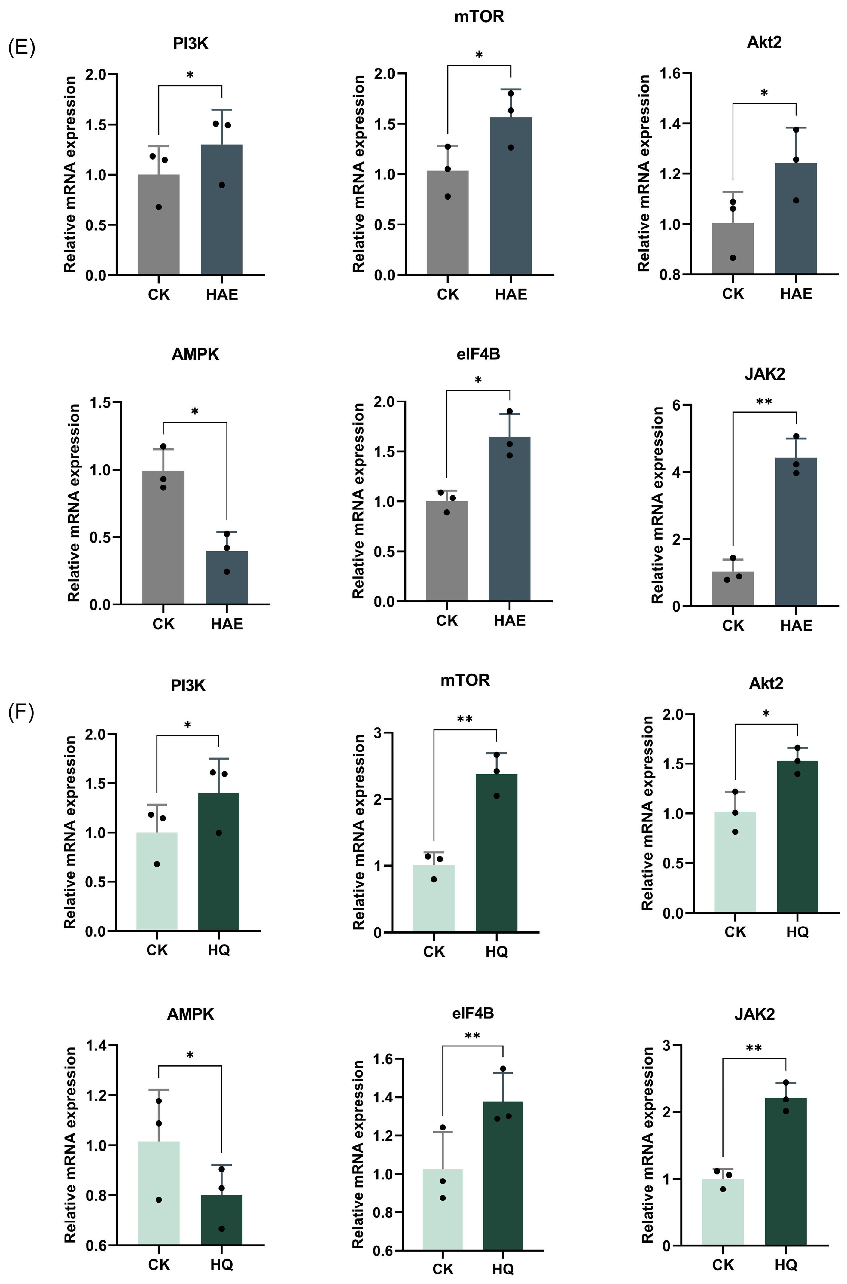 Foods 13 02813 g006b