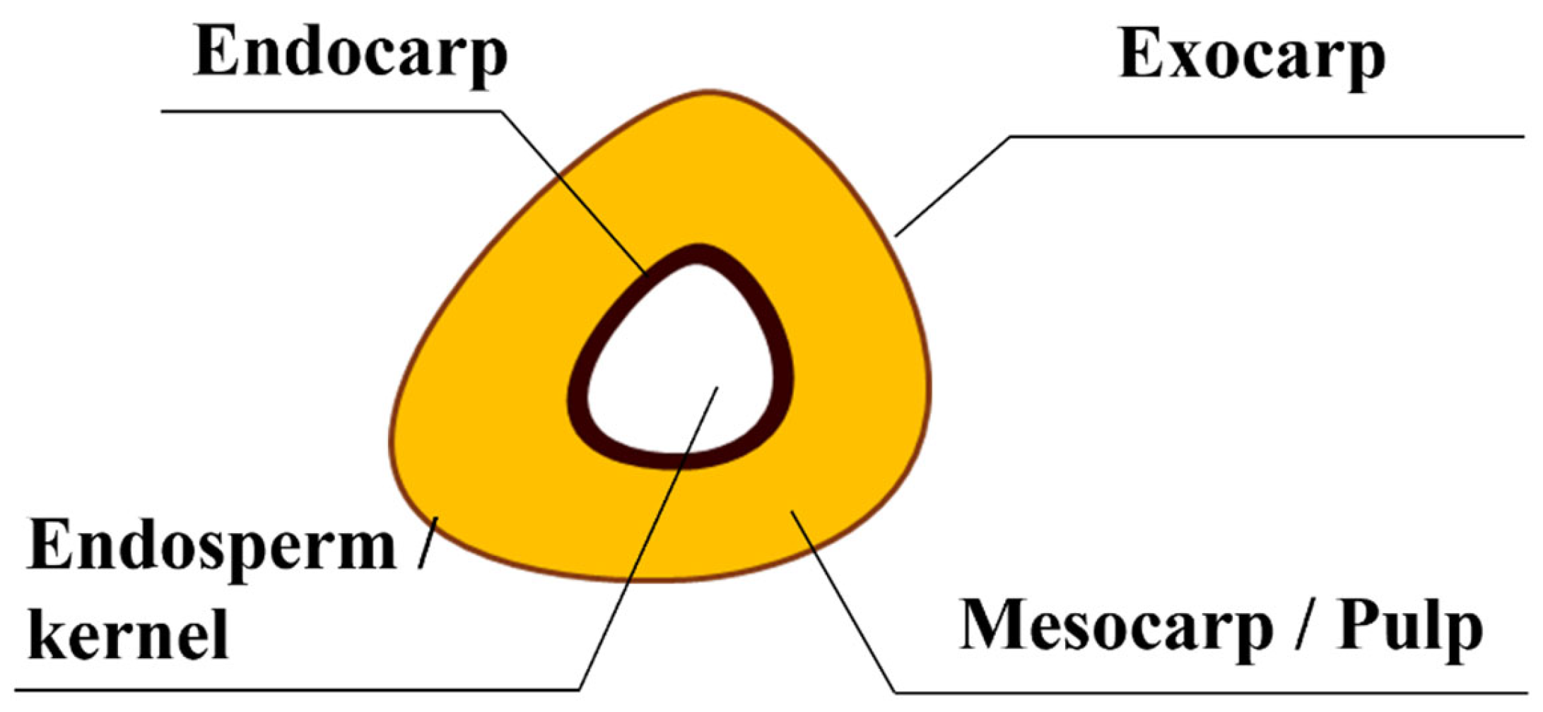 Foods 13 02814 sch001