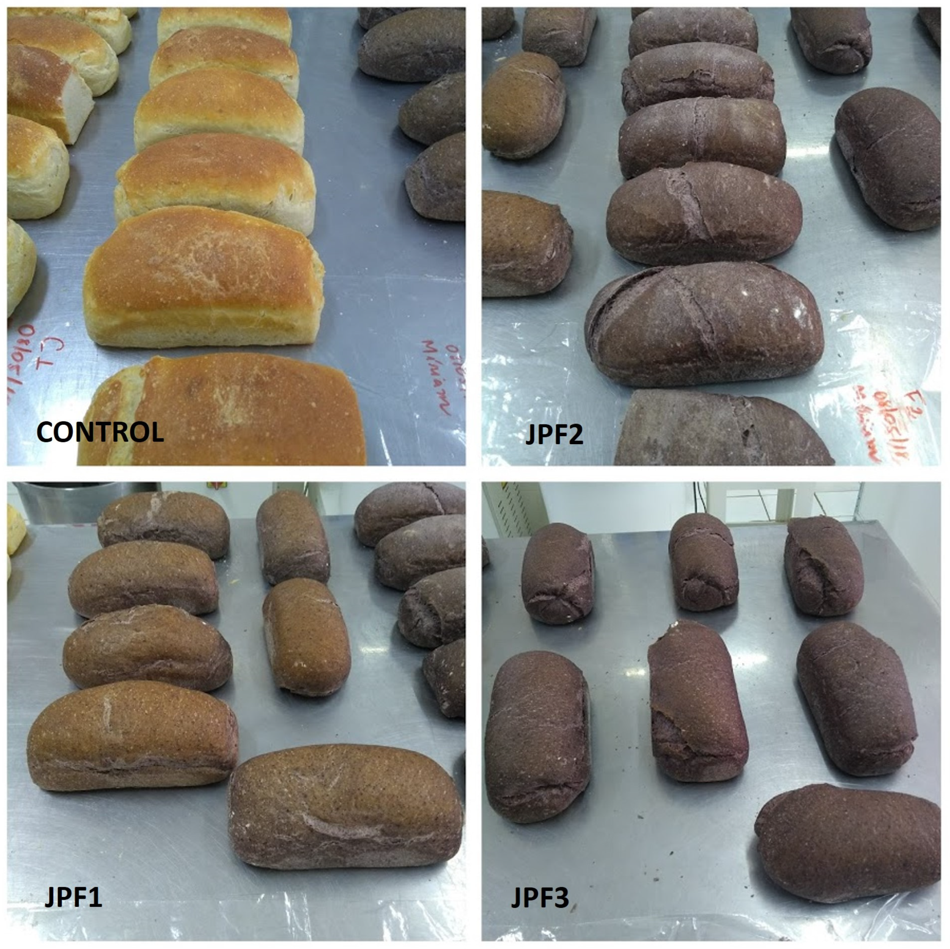 Foods 13 02878 g002 Foods 13 02878 g002