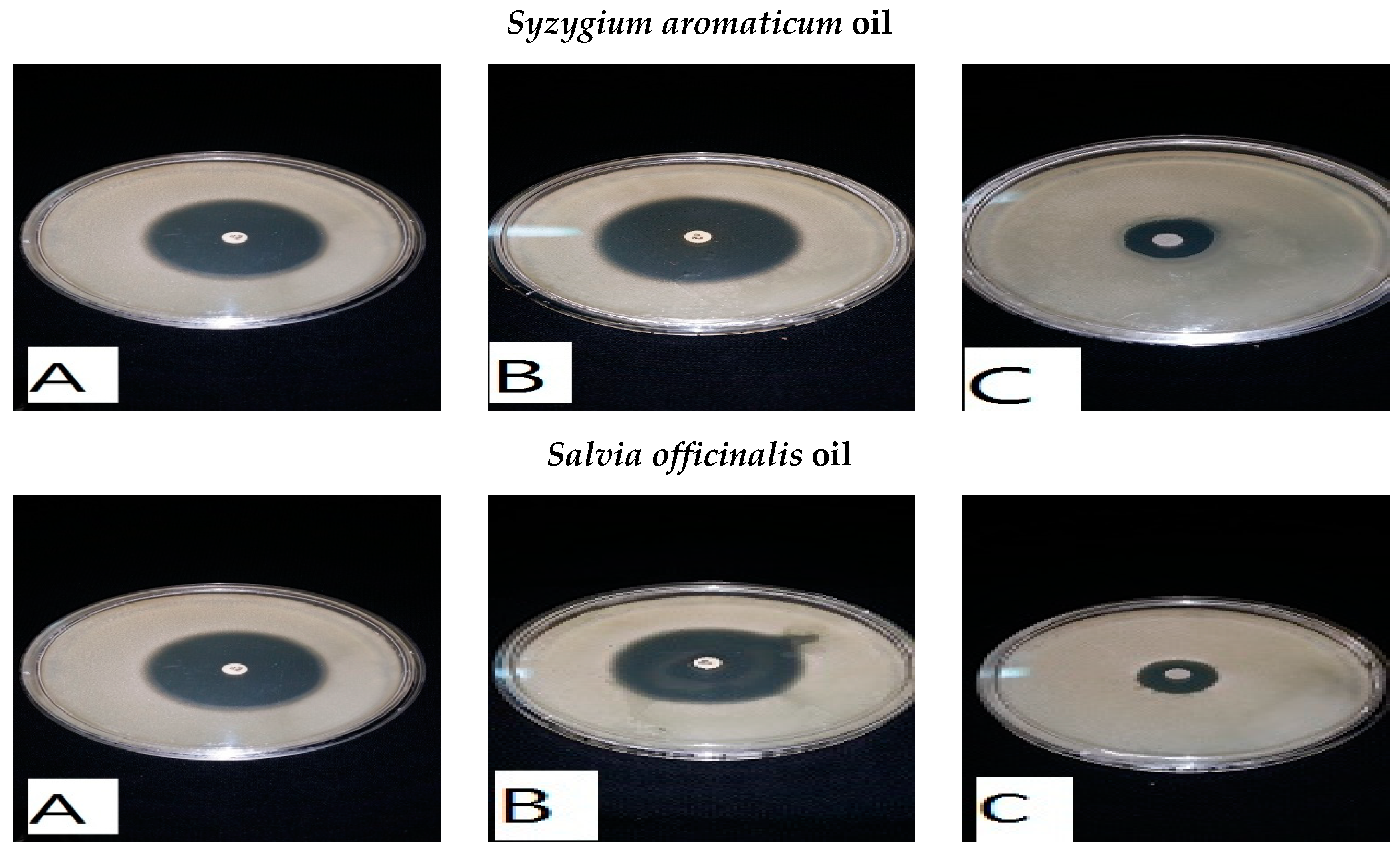 Foods 13 02915 g014a