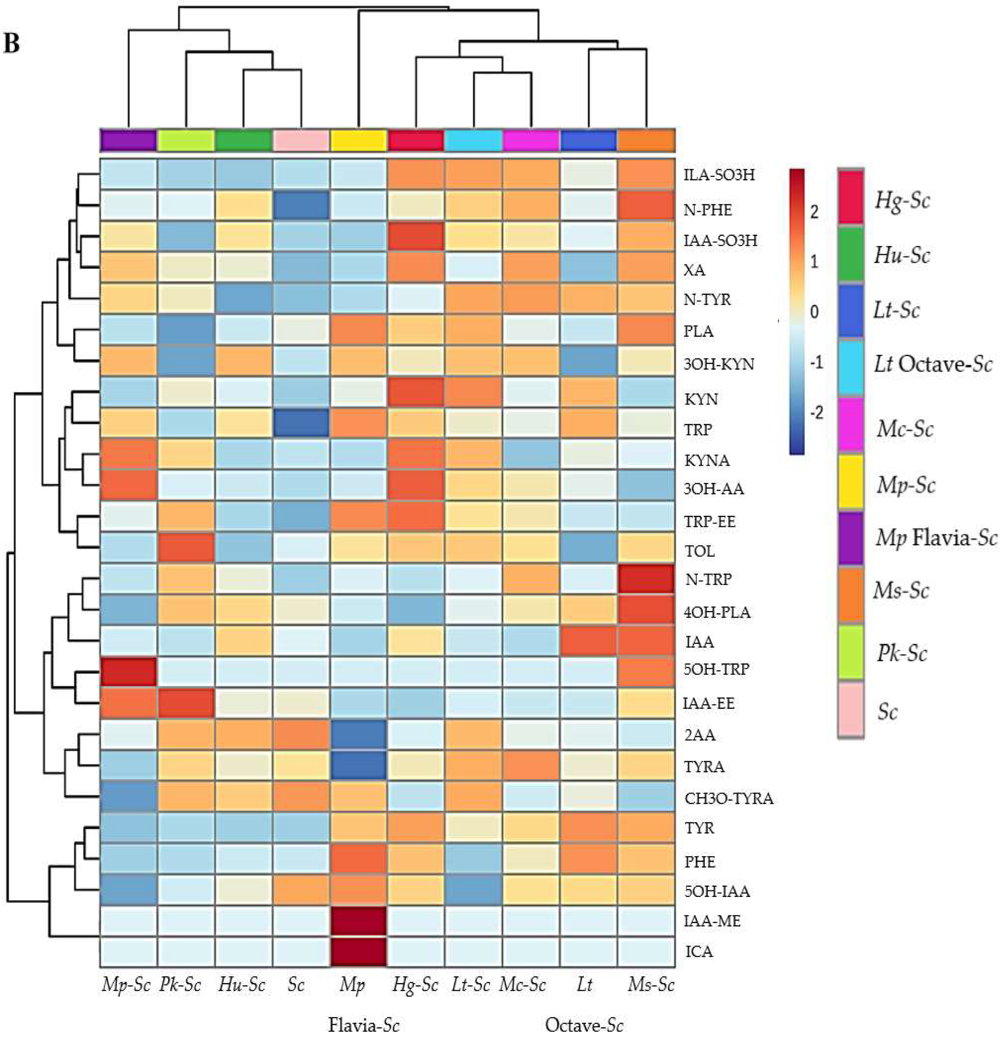 Foods 13 02939 g002b