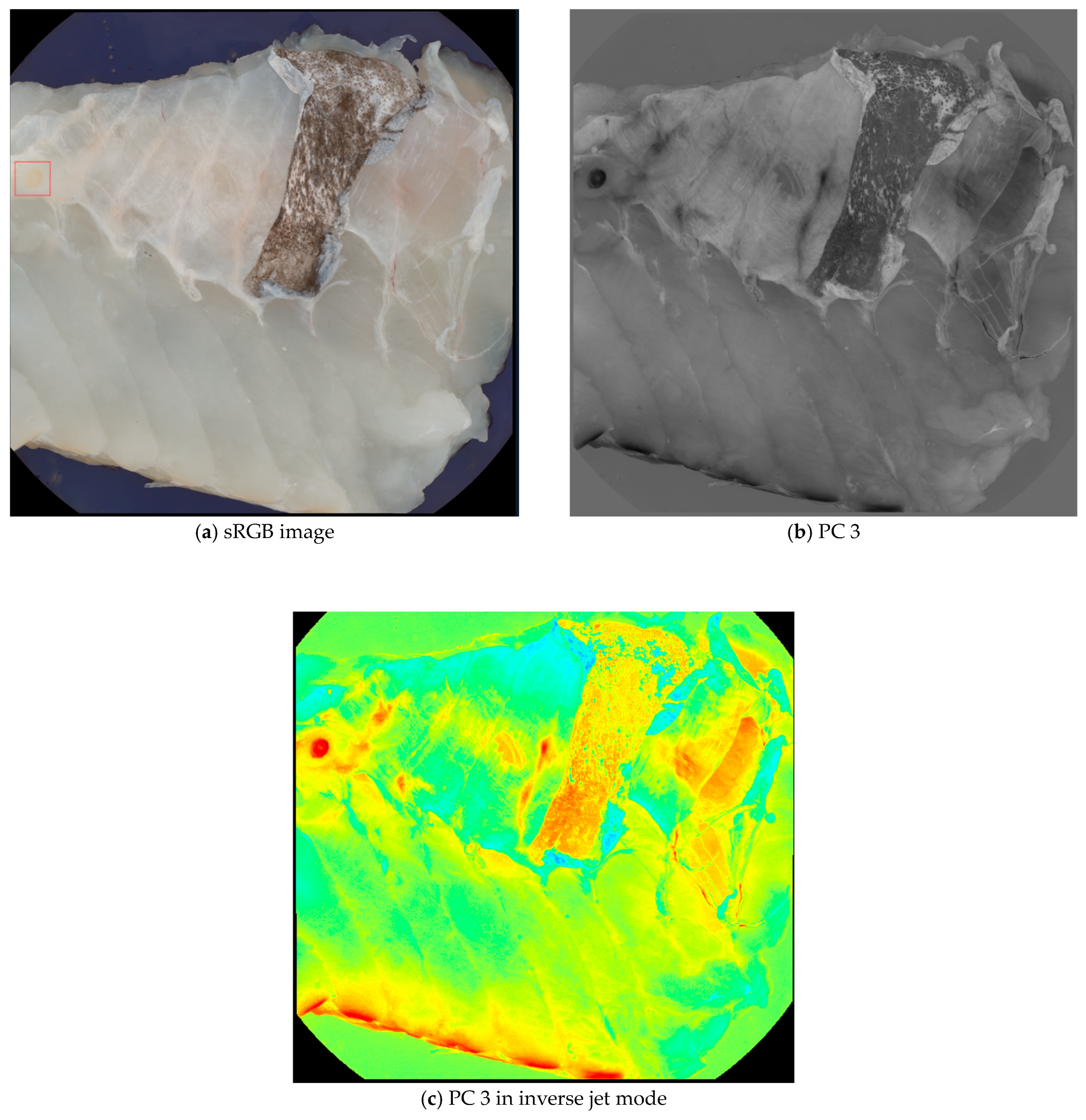 Foods 13 02952 g001 Foods 13 02952 g001