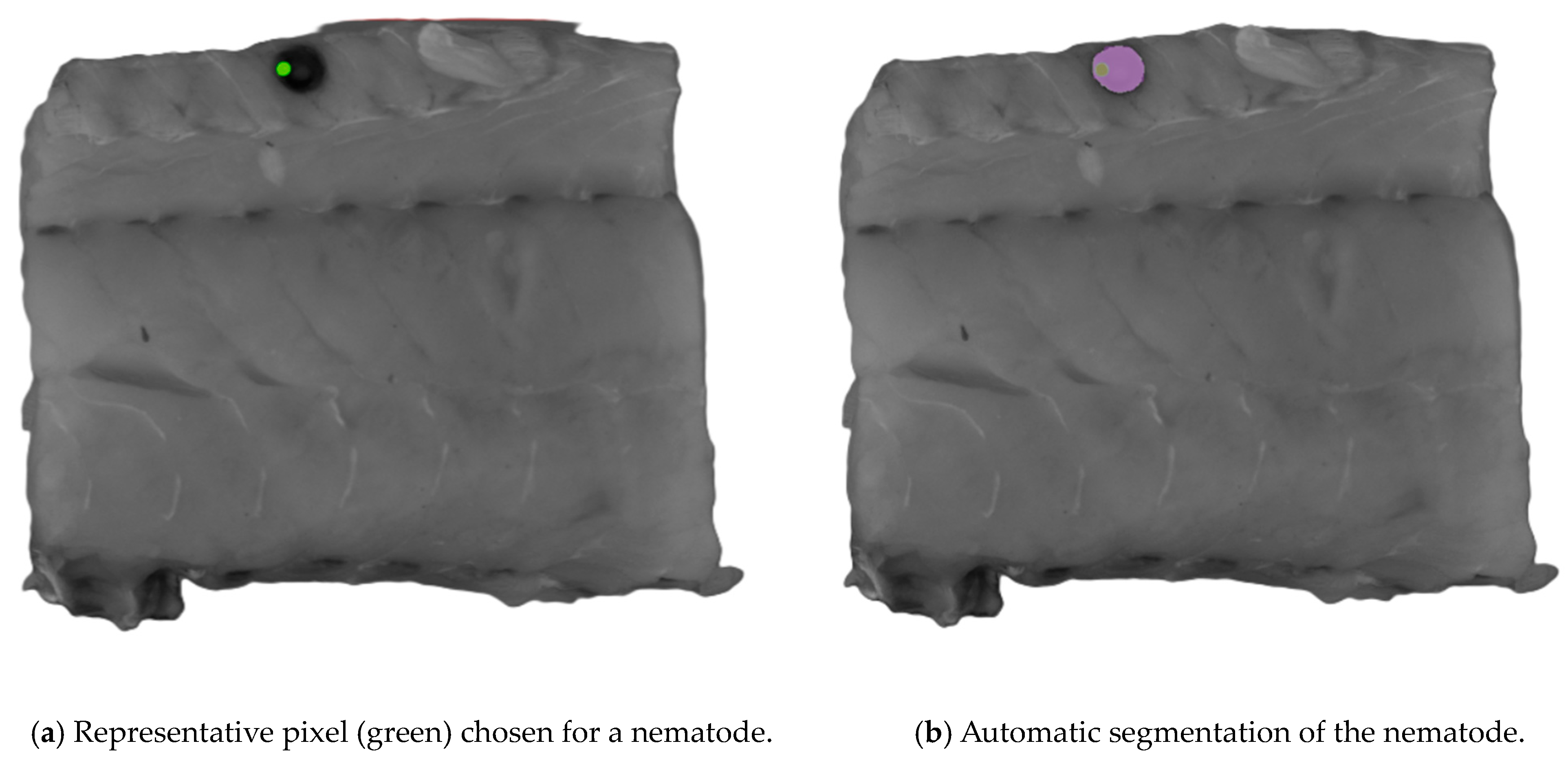 Foods 13 02952 g002 Foods 13 02952 g002