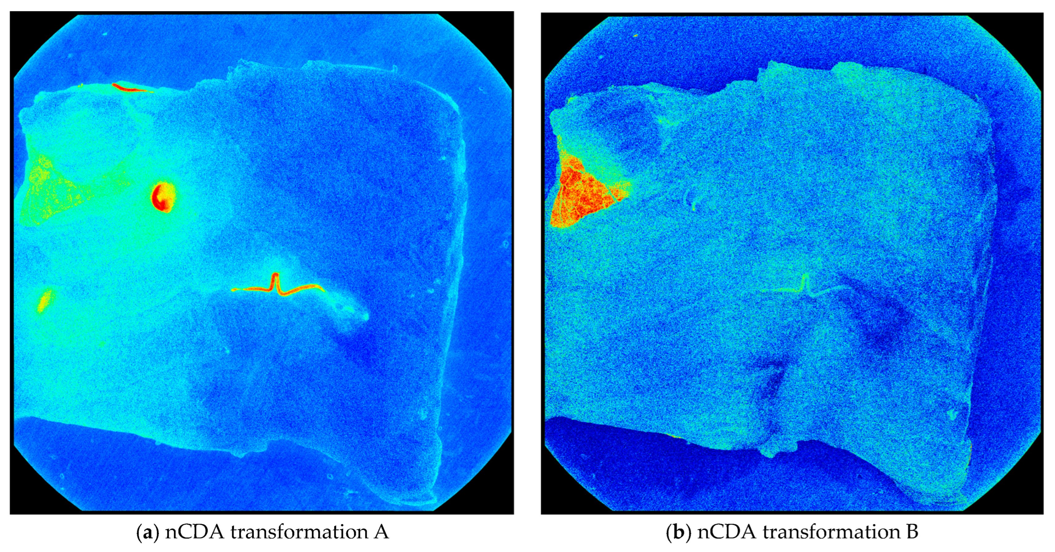 Foods 13 02952 g003 Foods 13 02952 g003
