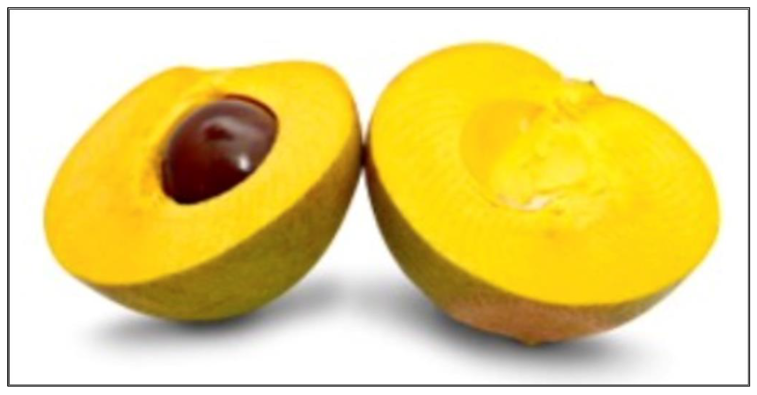 Foods 13 03055 g001 Foods 13 03055 g001
