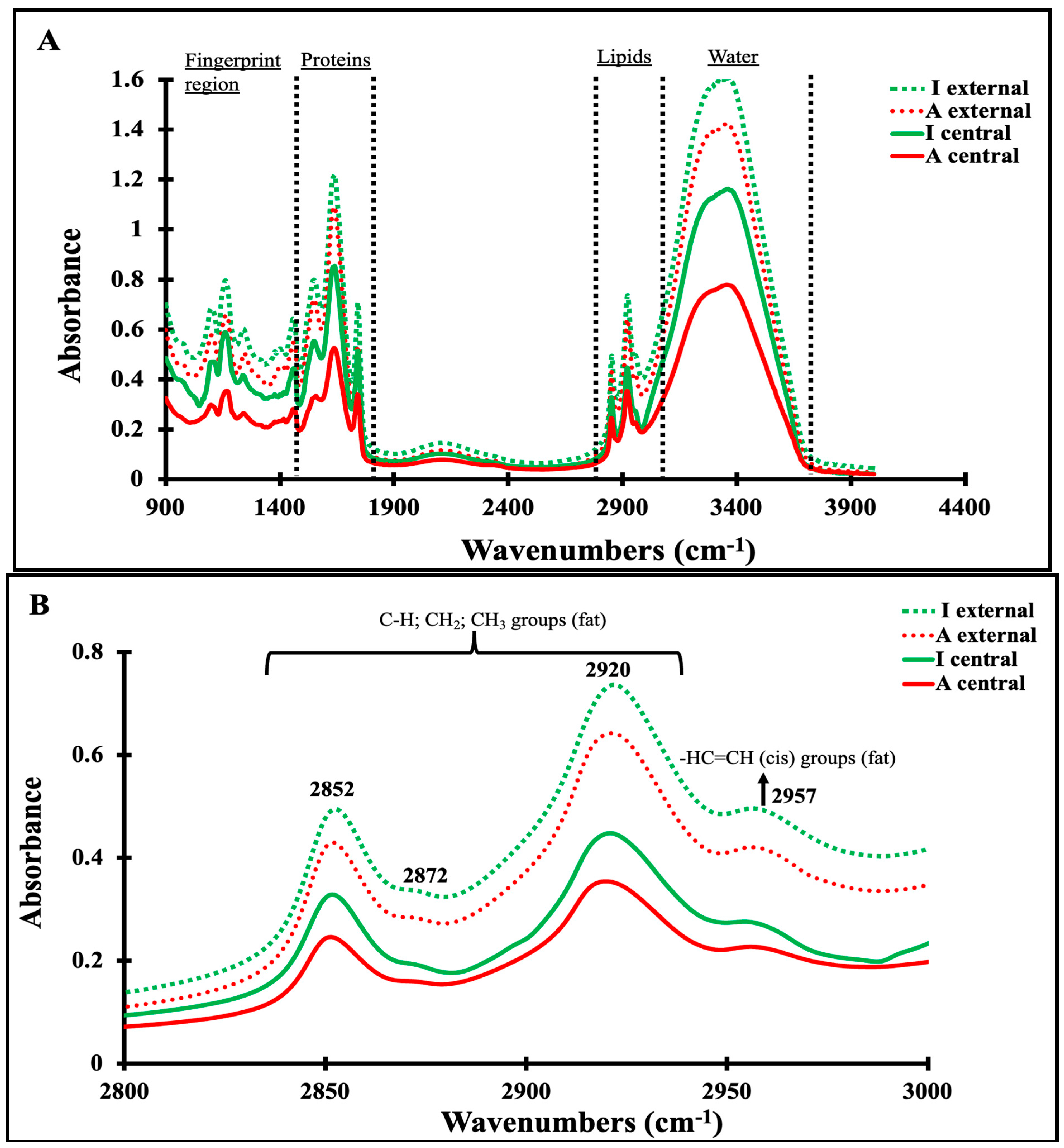 Foods 13 03086 g003a