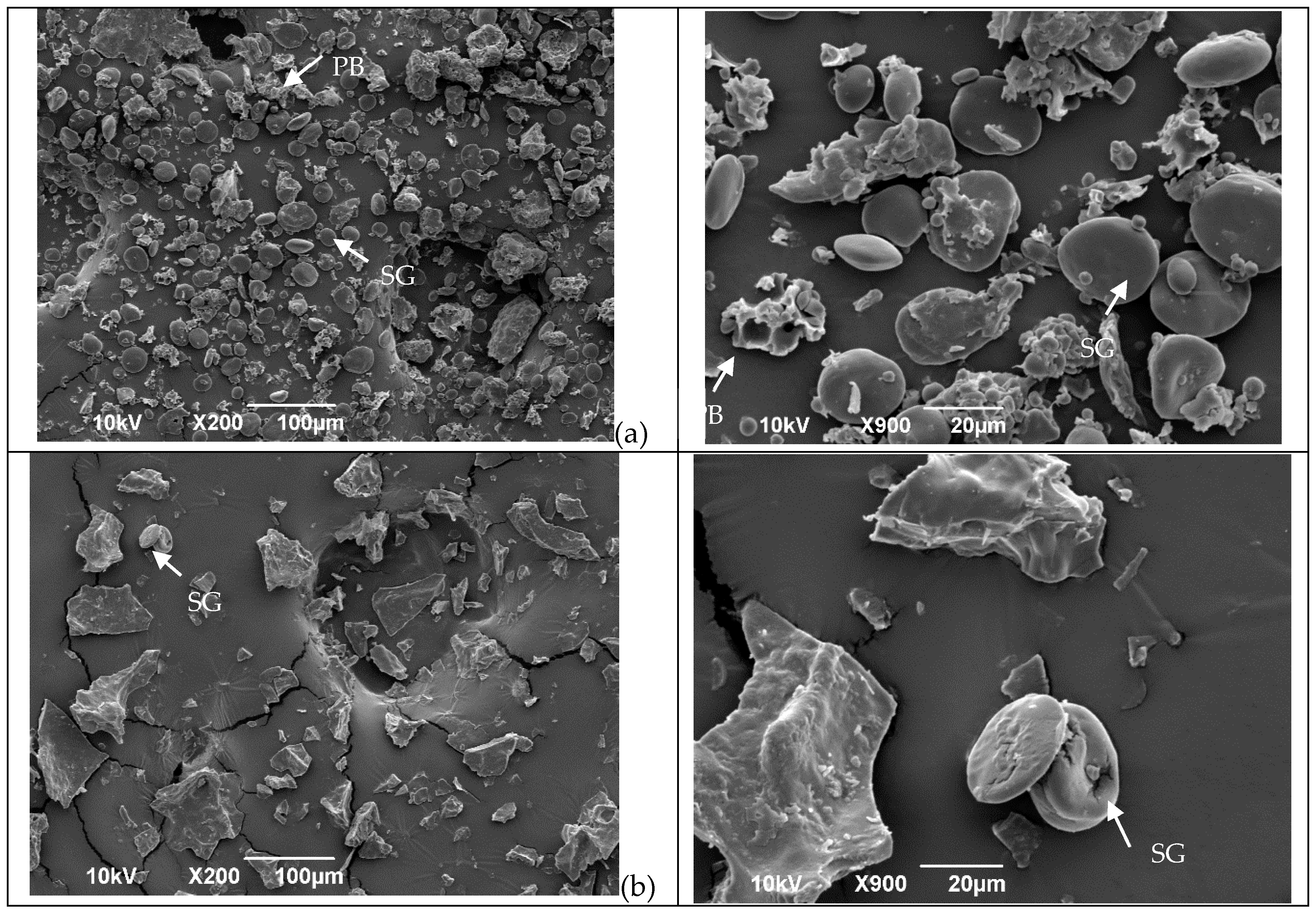 Foods 13 03145 g001a