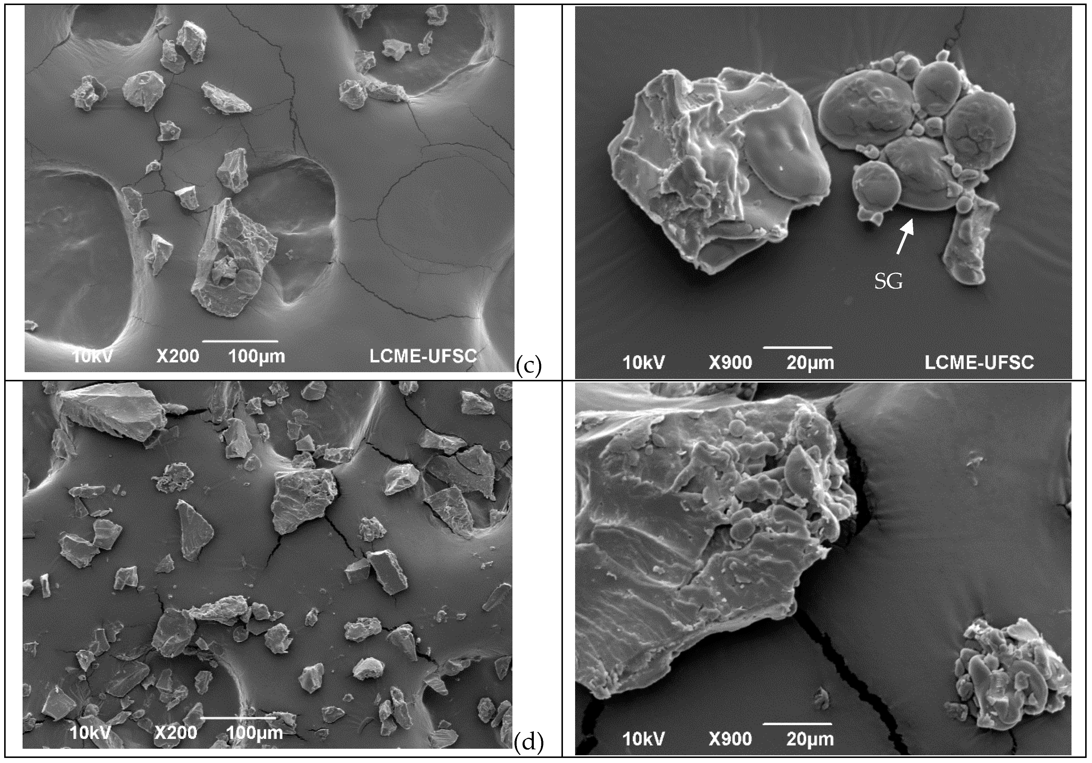 Foods 13 03145 g001b