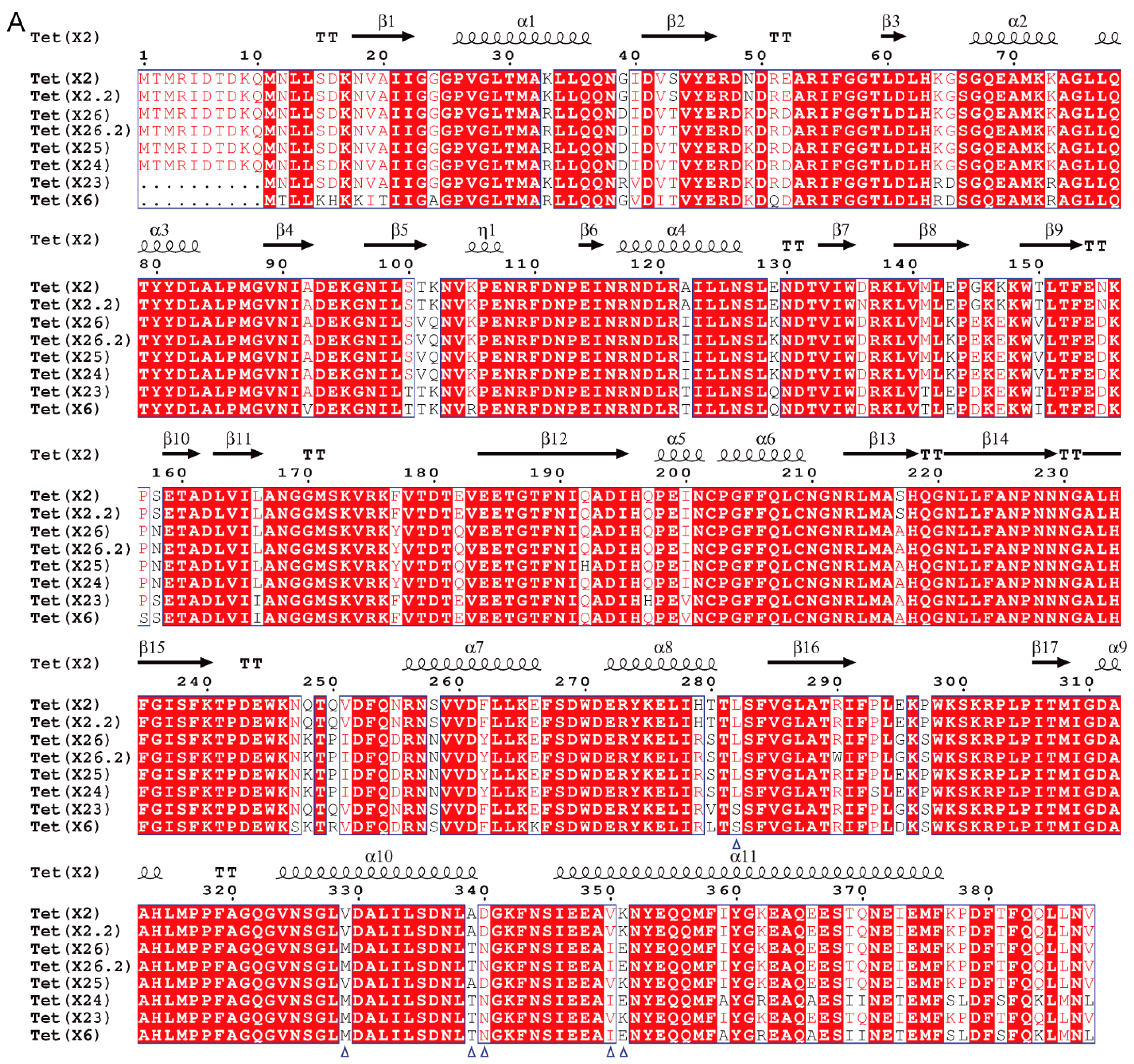 Foods 13 03201 g002a
