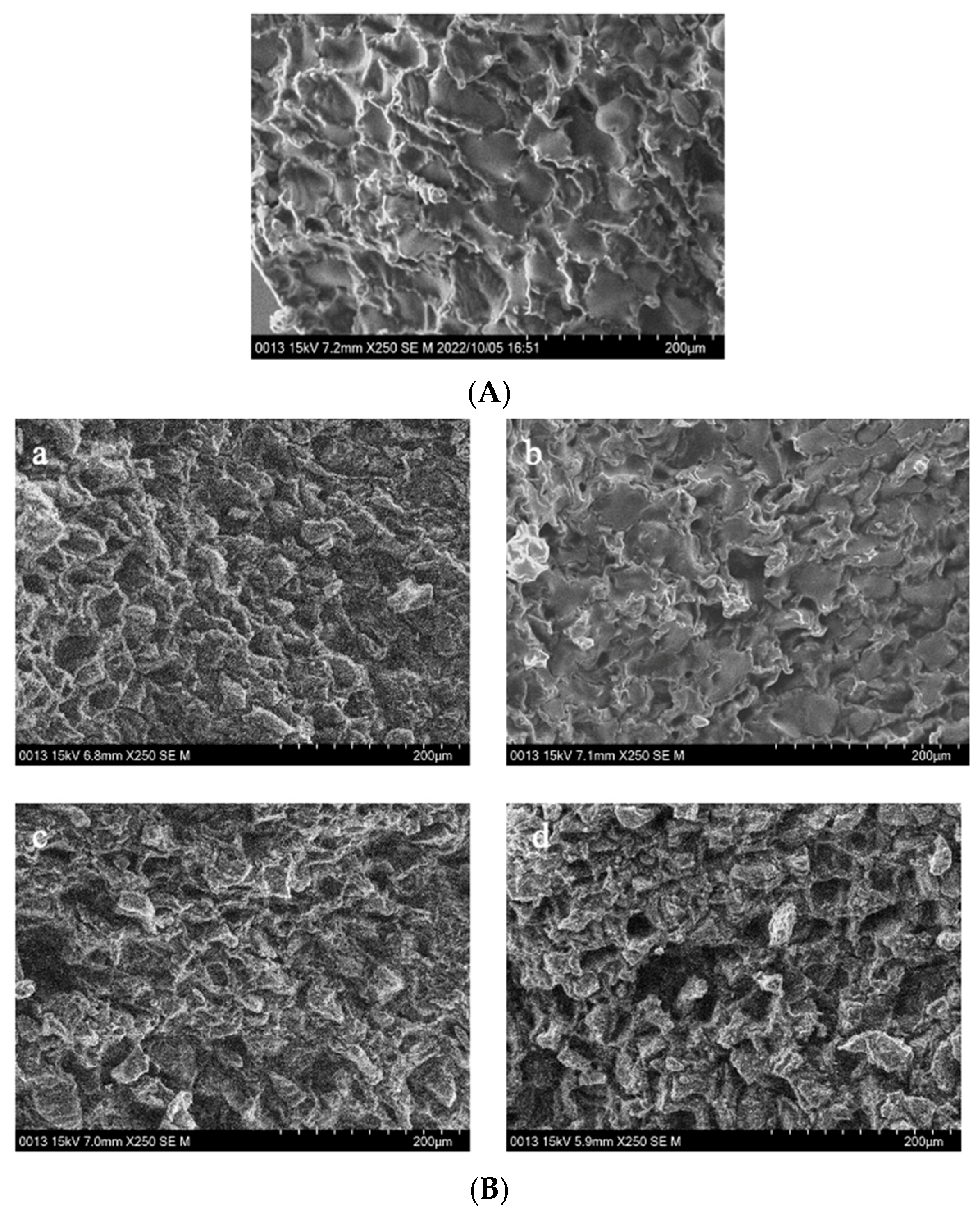 Foods 13 03398 g004a