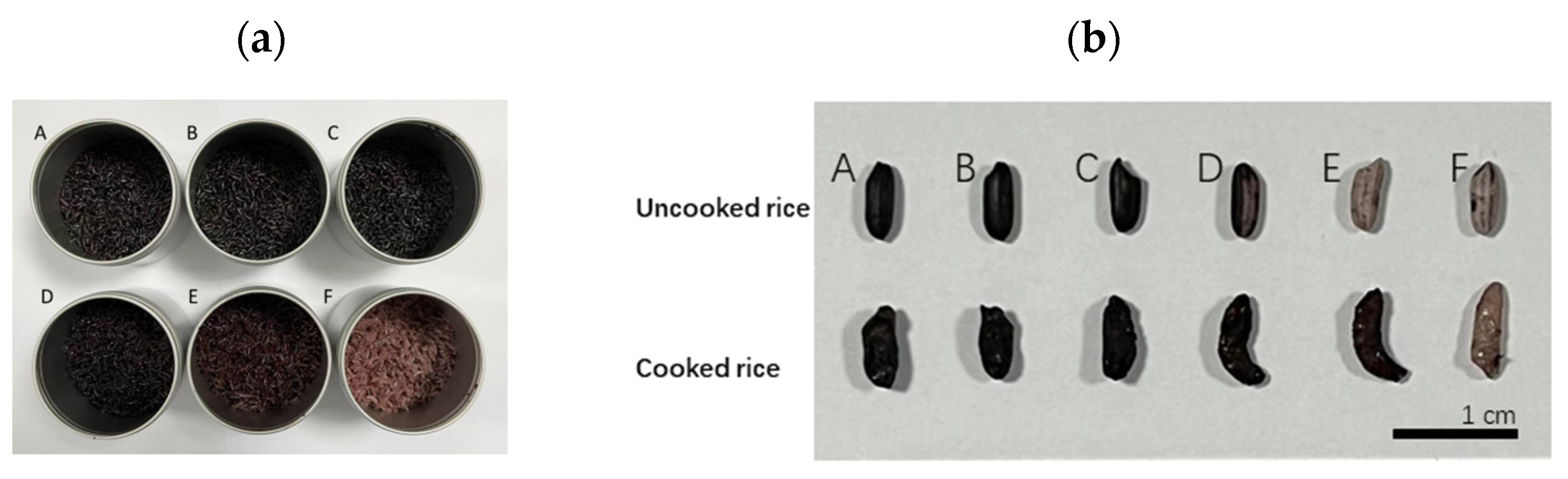 Foods 13 03453 g001a