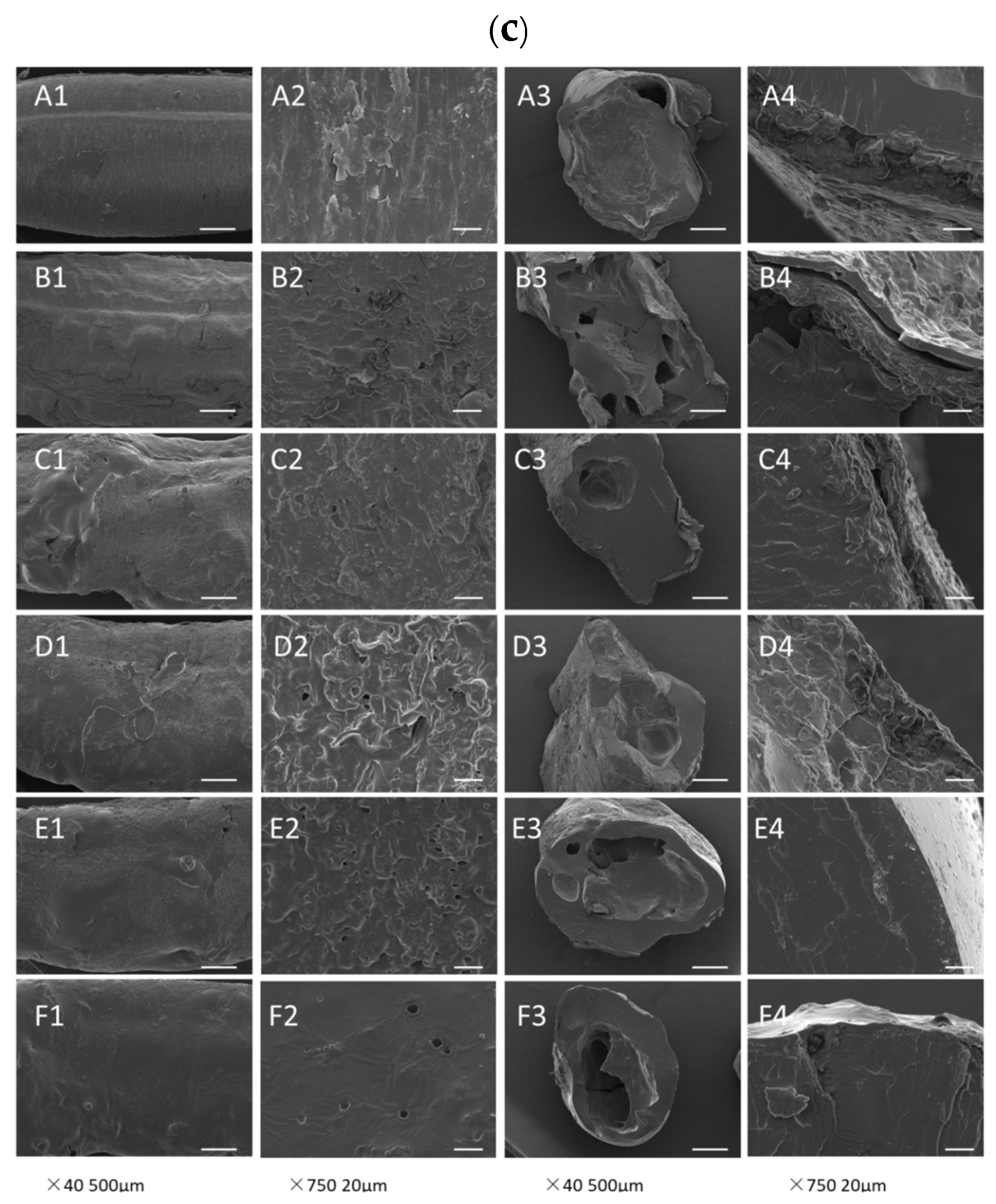 Foods 13 03453 g001b