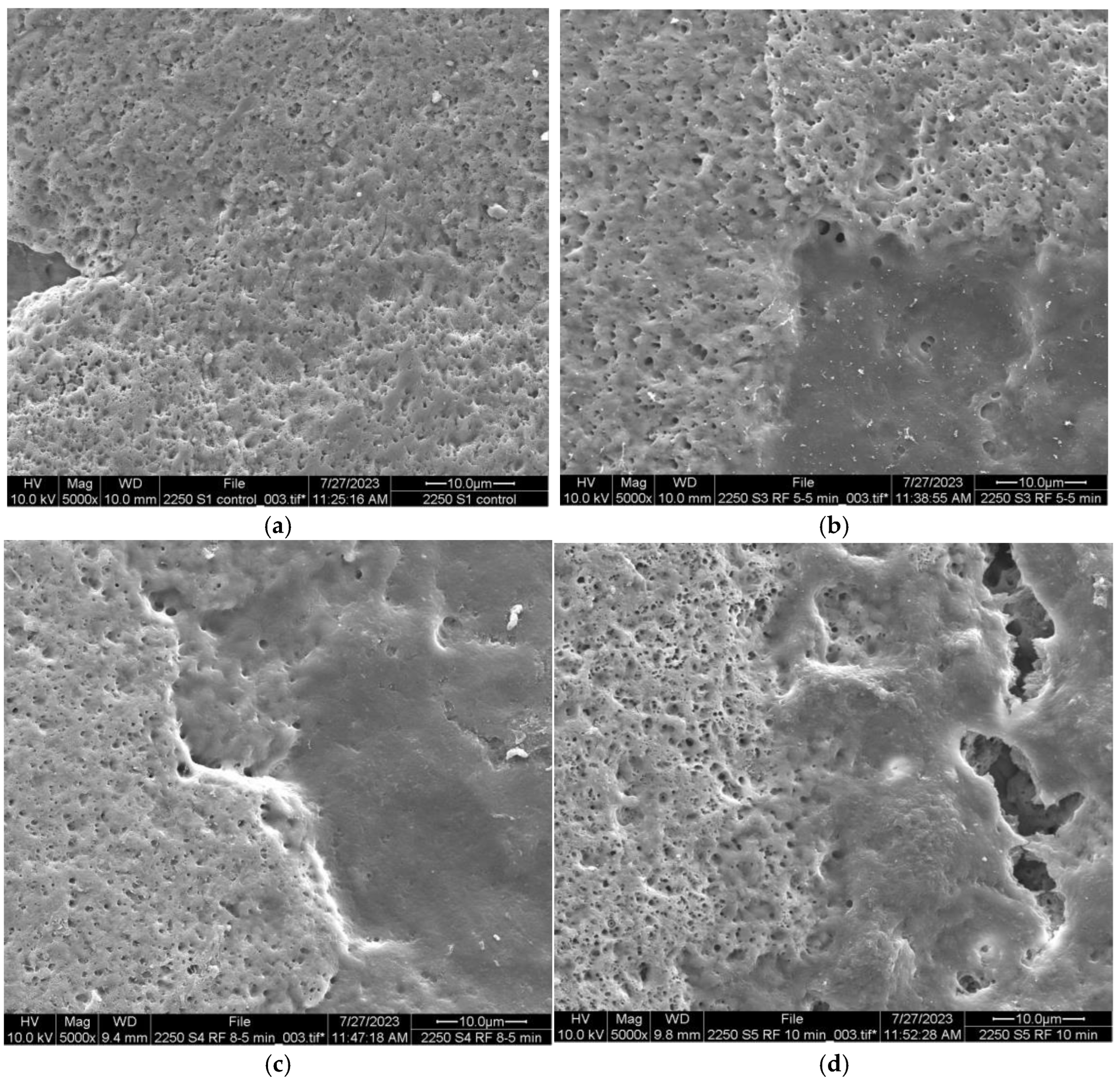 Foods 13 03457 g004a